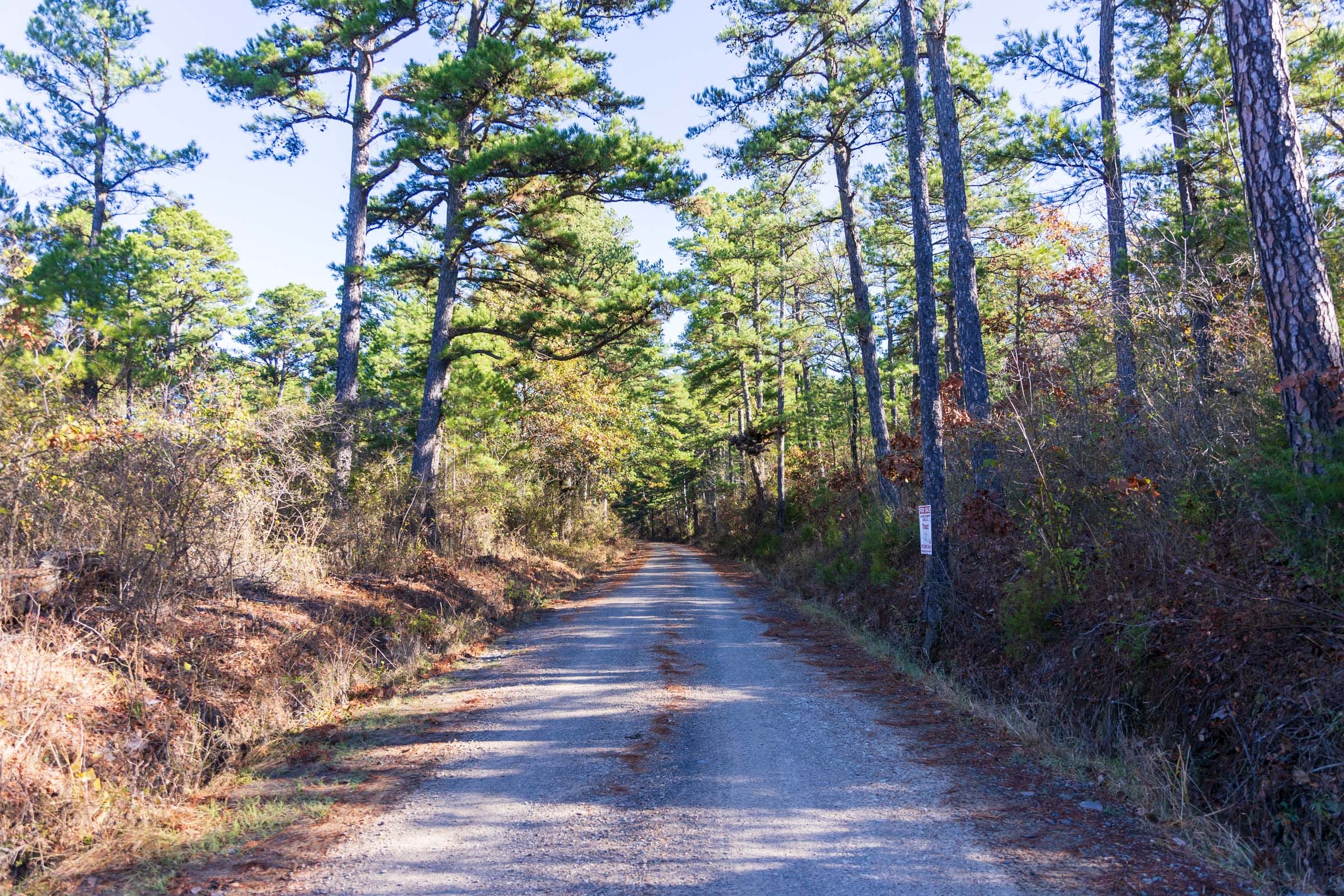 Stone Bridge Reserve Tract 1 photo 11