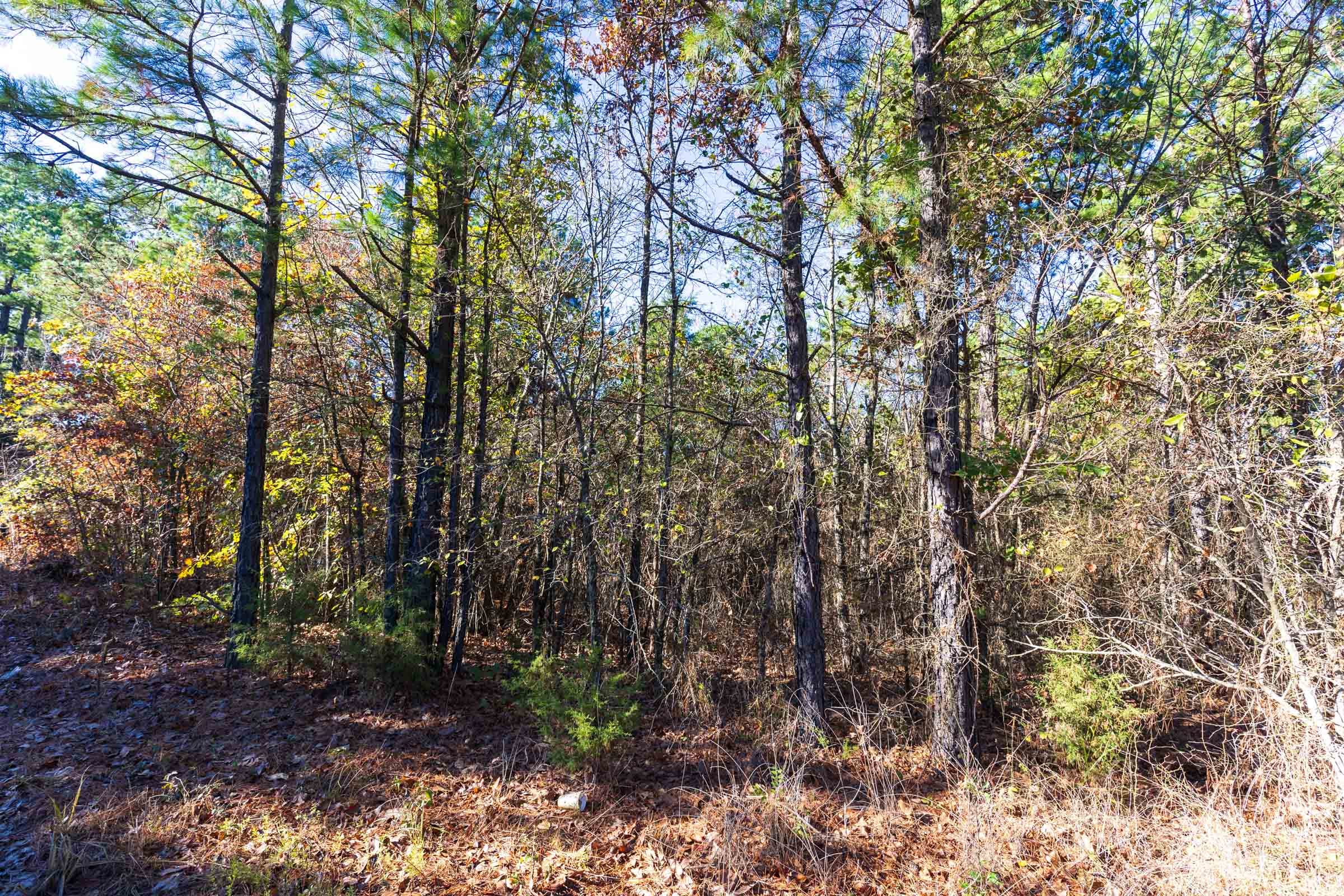 Stone Bridge Reserve Tract 1 photo 12