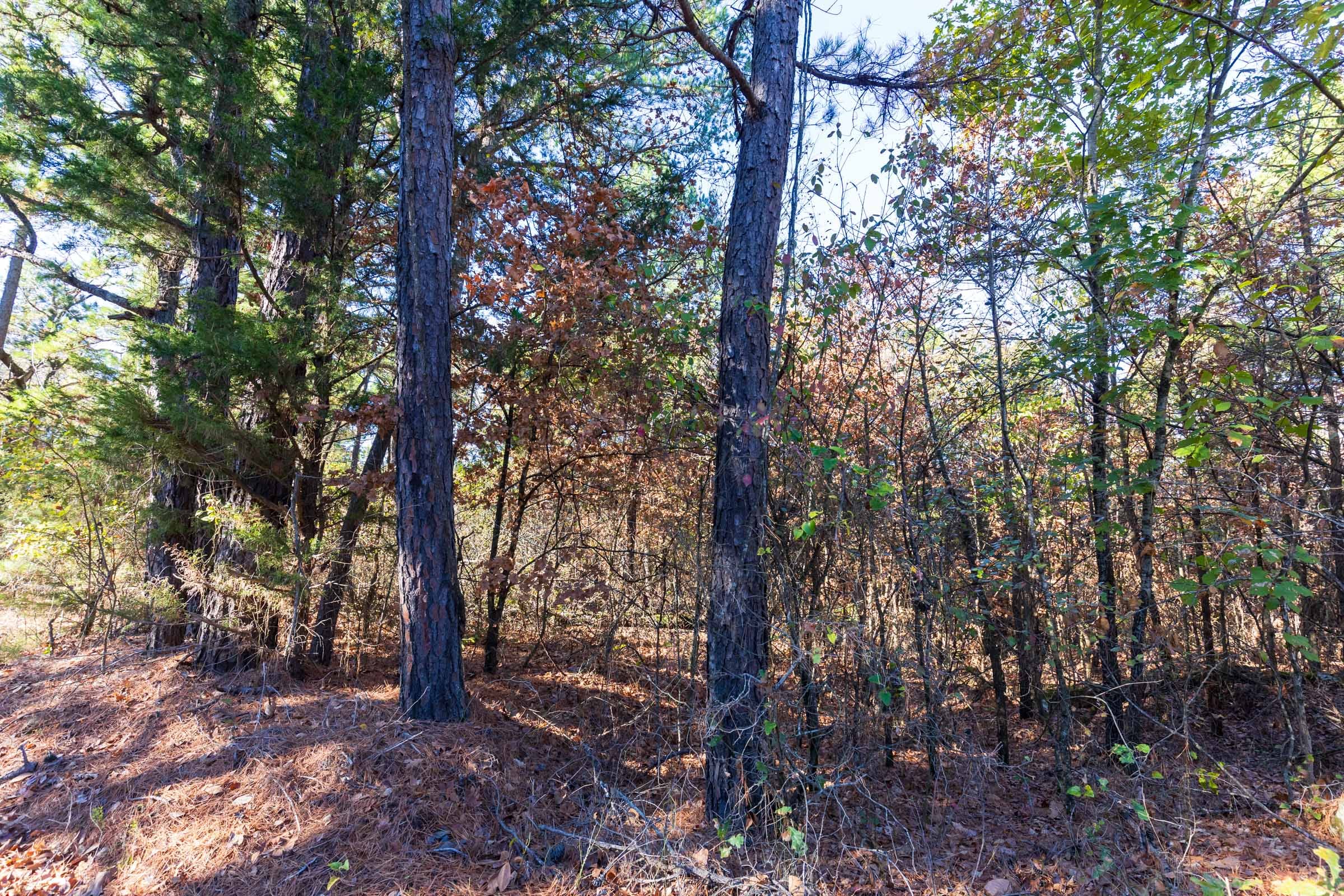 Stone Bridge Reserve Tract 1 photo 13