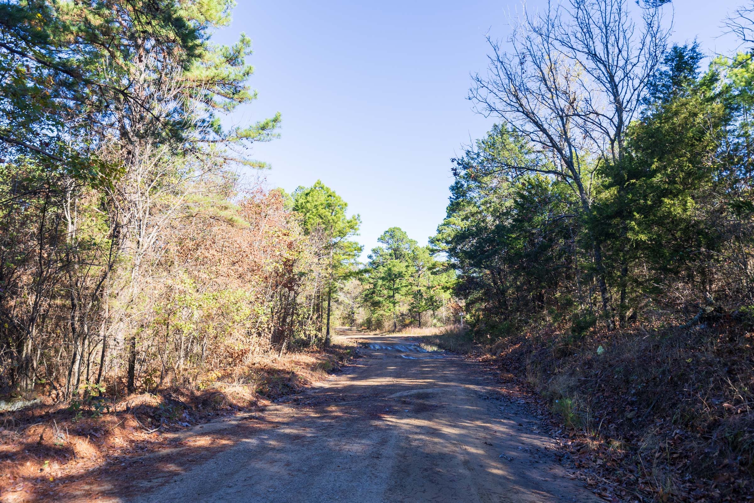 Stone Bridge Reserve Tract 1 photo 7