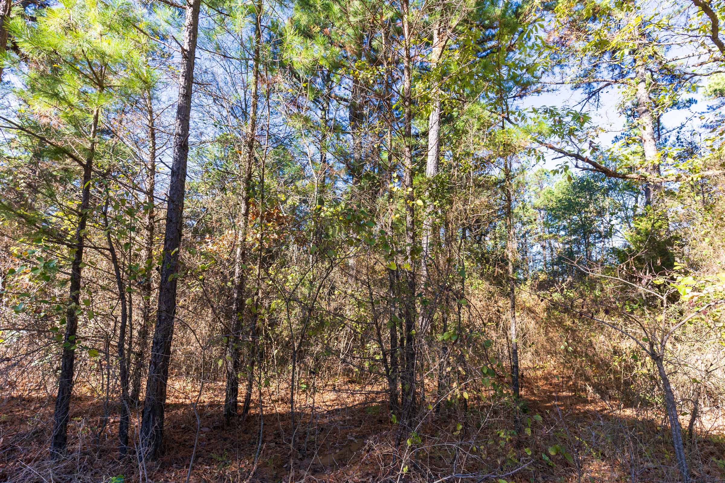 Stone Bridge Reserve Tract 1 photo 6