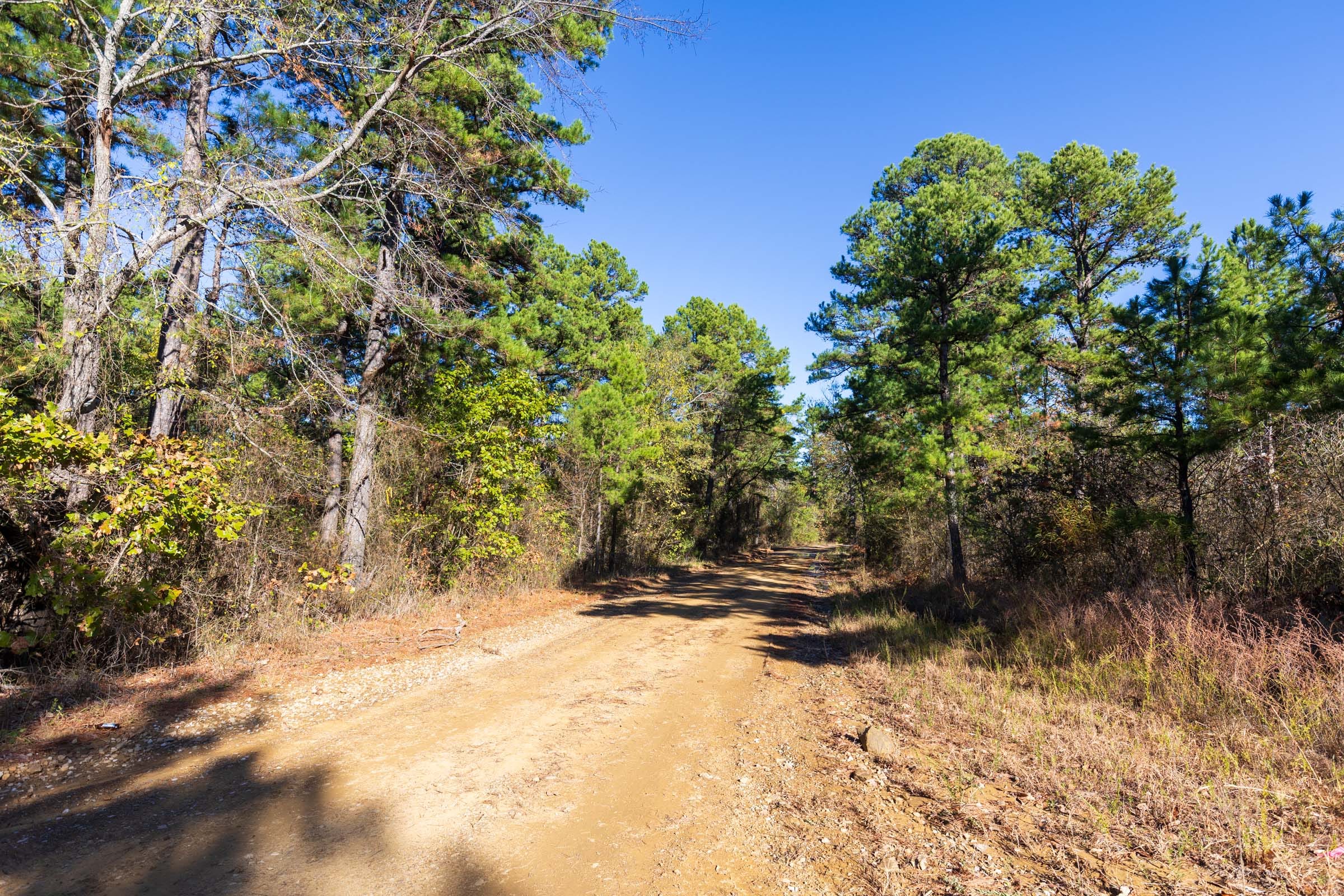 Stone Bridge Reserve Tract 1 photo 3