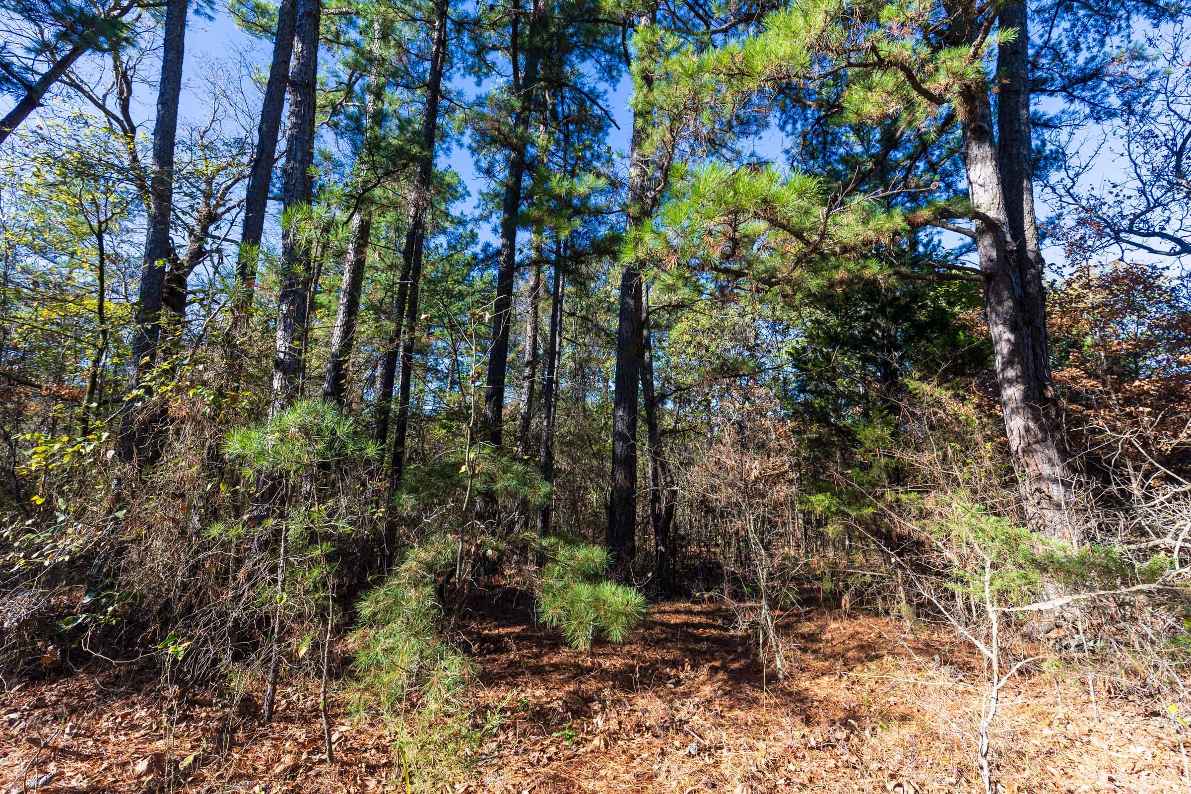 Stone Bridge Reserve Tract 1 photo 4