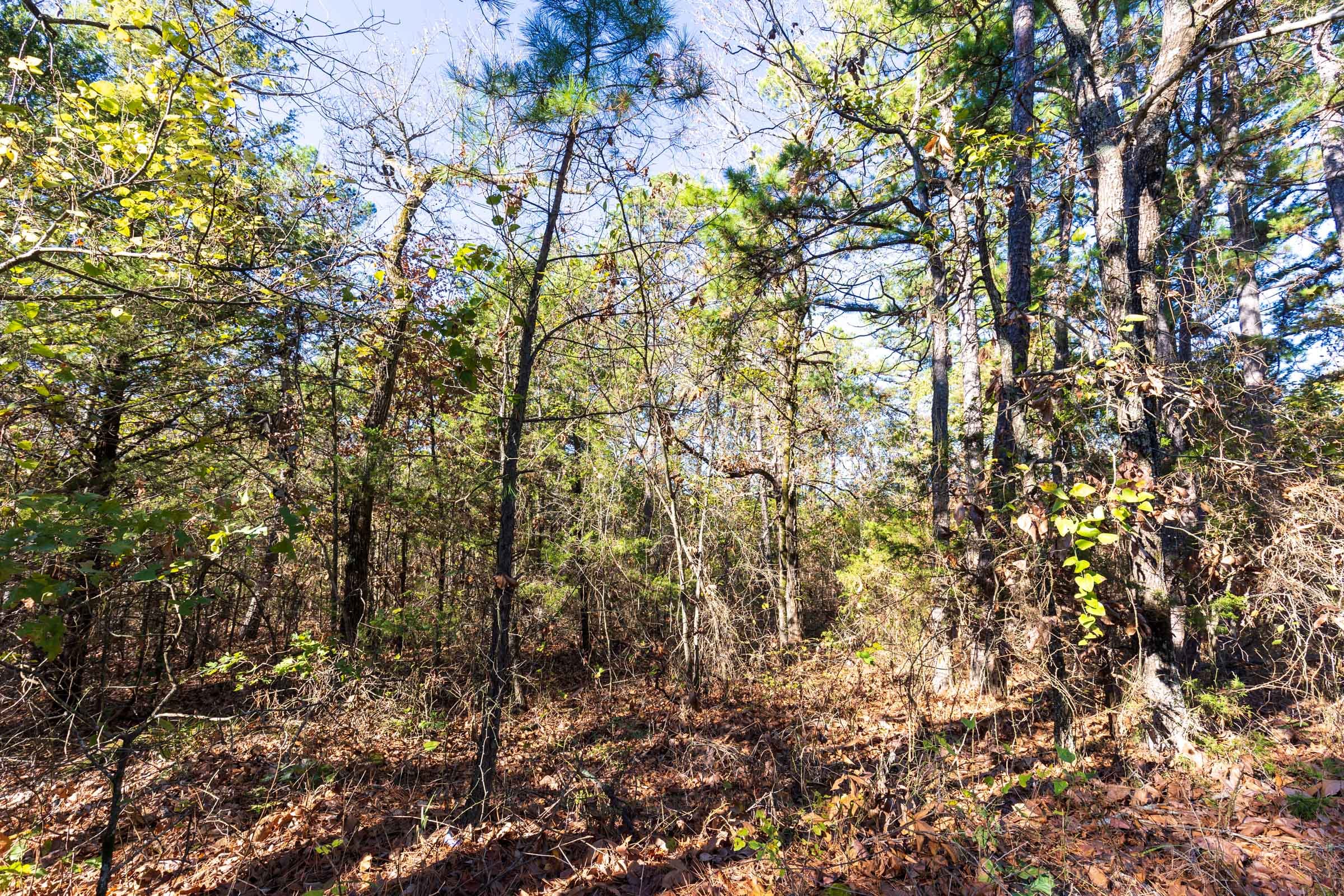 Stone Bridge Reserve Tract 1 photo 2