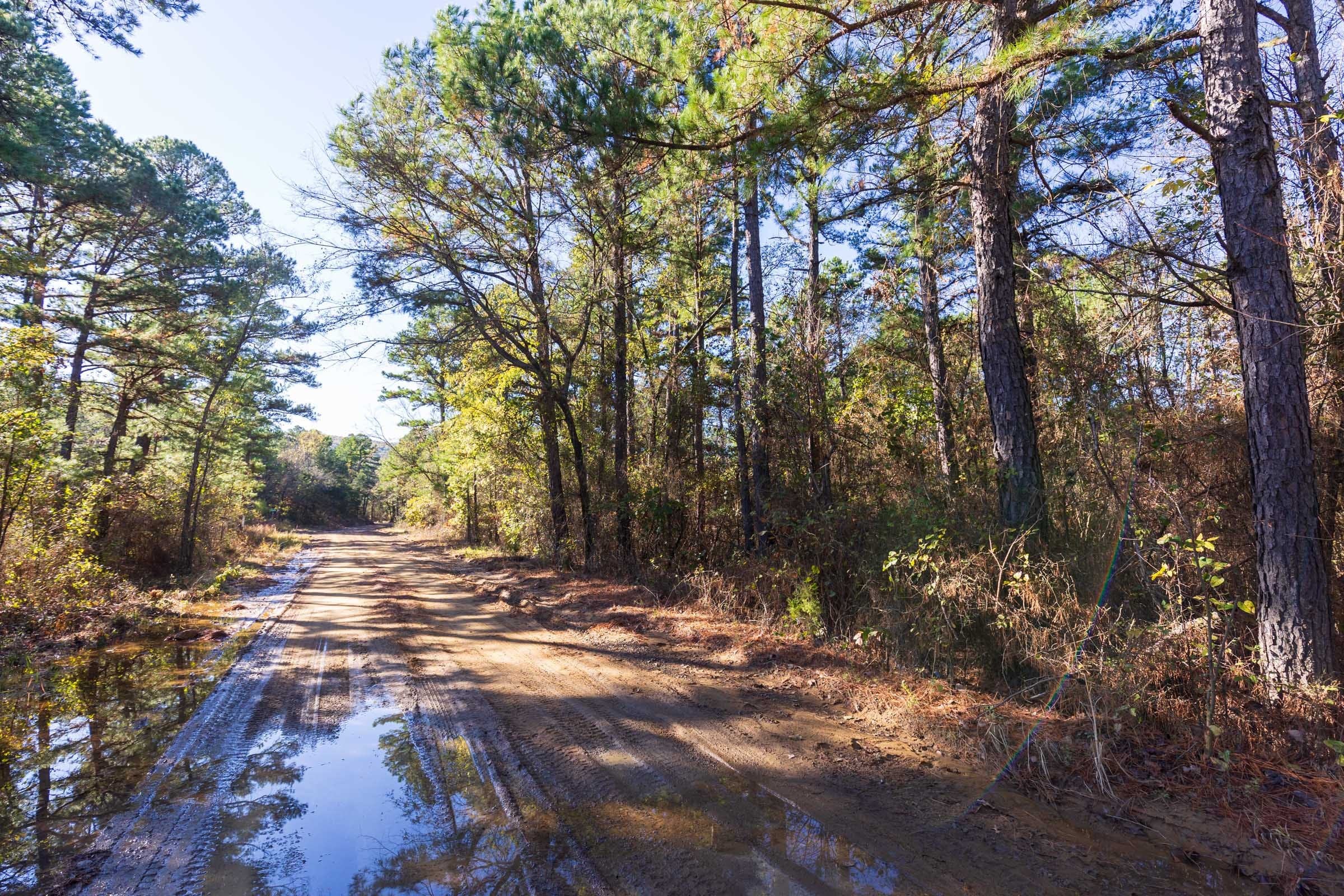 Stone Bridge Reserve Tract 1 photo 5
