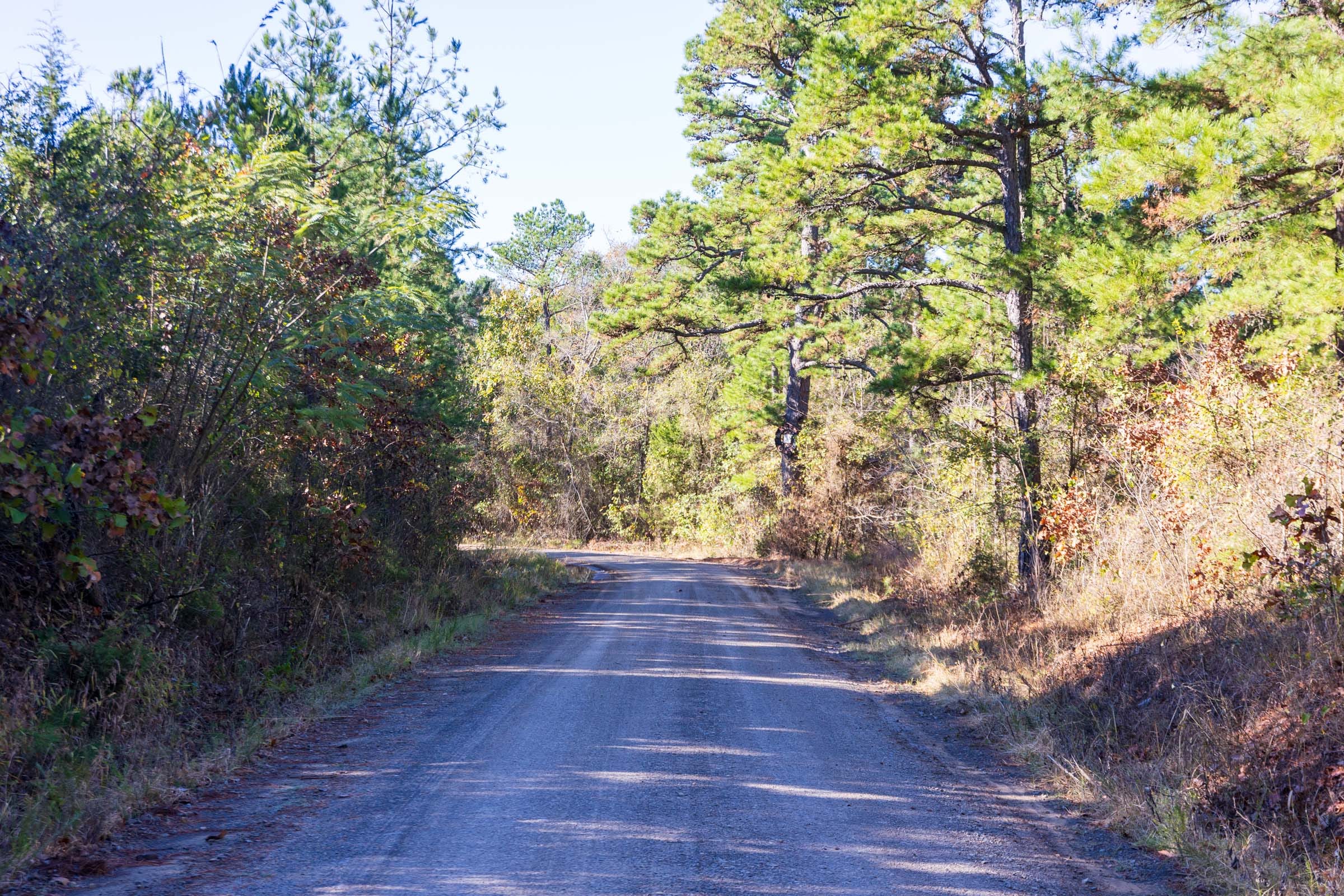 Stone Bridge Reserve Tract 1 photo 1
