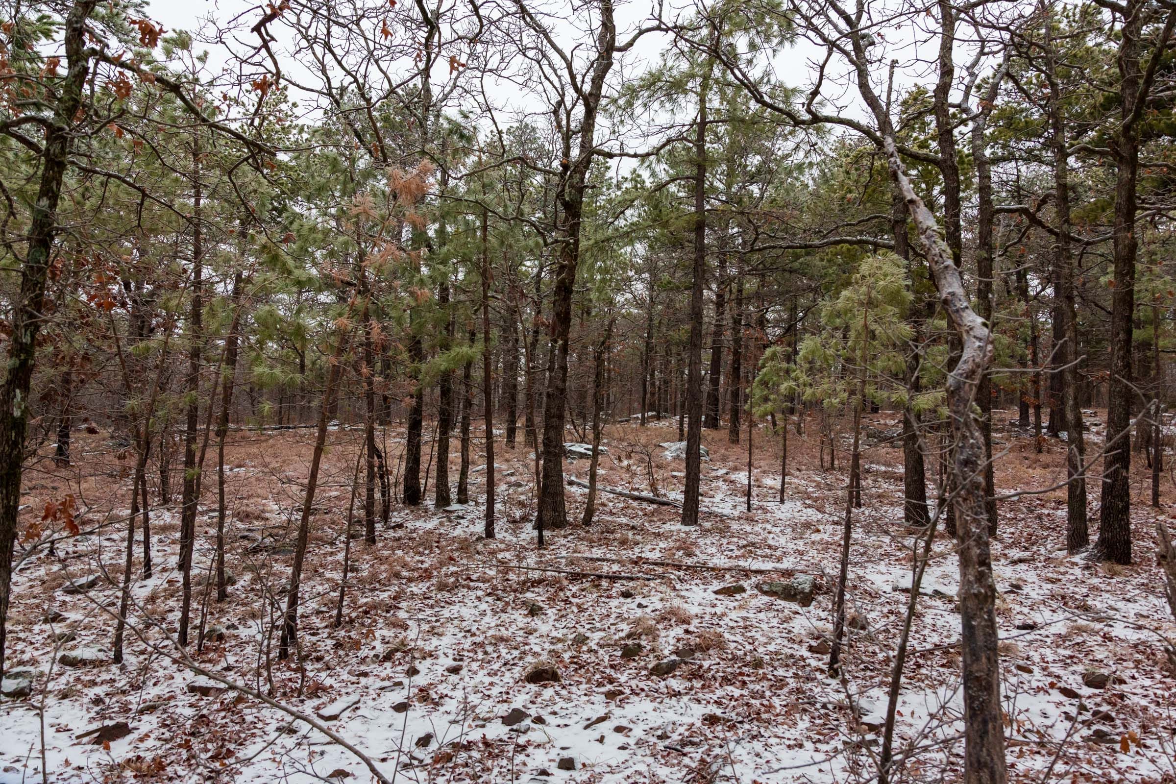 Stone Bridge Phase IV Tract 307 photo 11