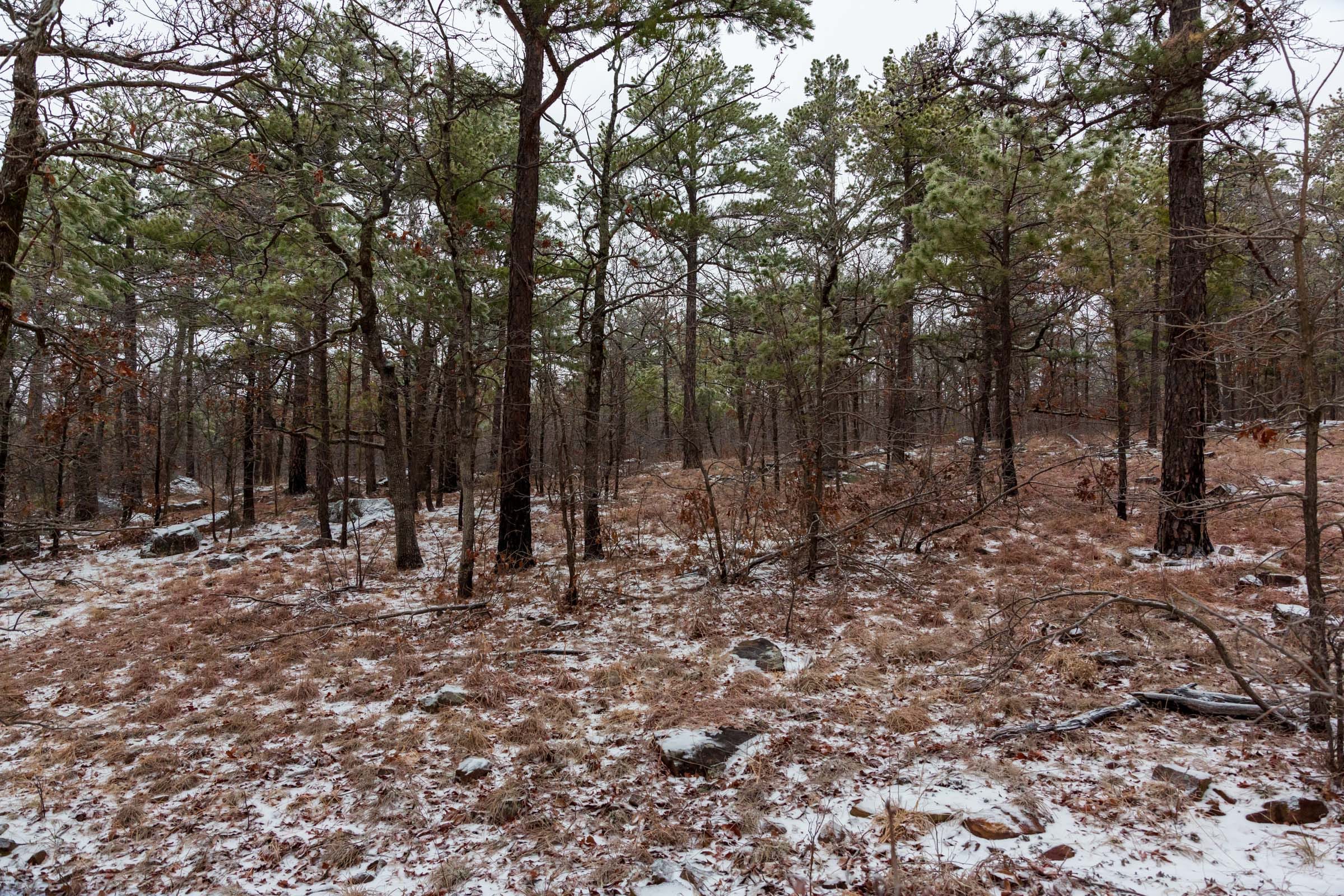 Stone Bridge Phase IV Tract 307 photo 14