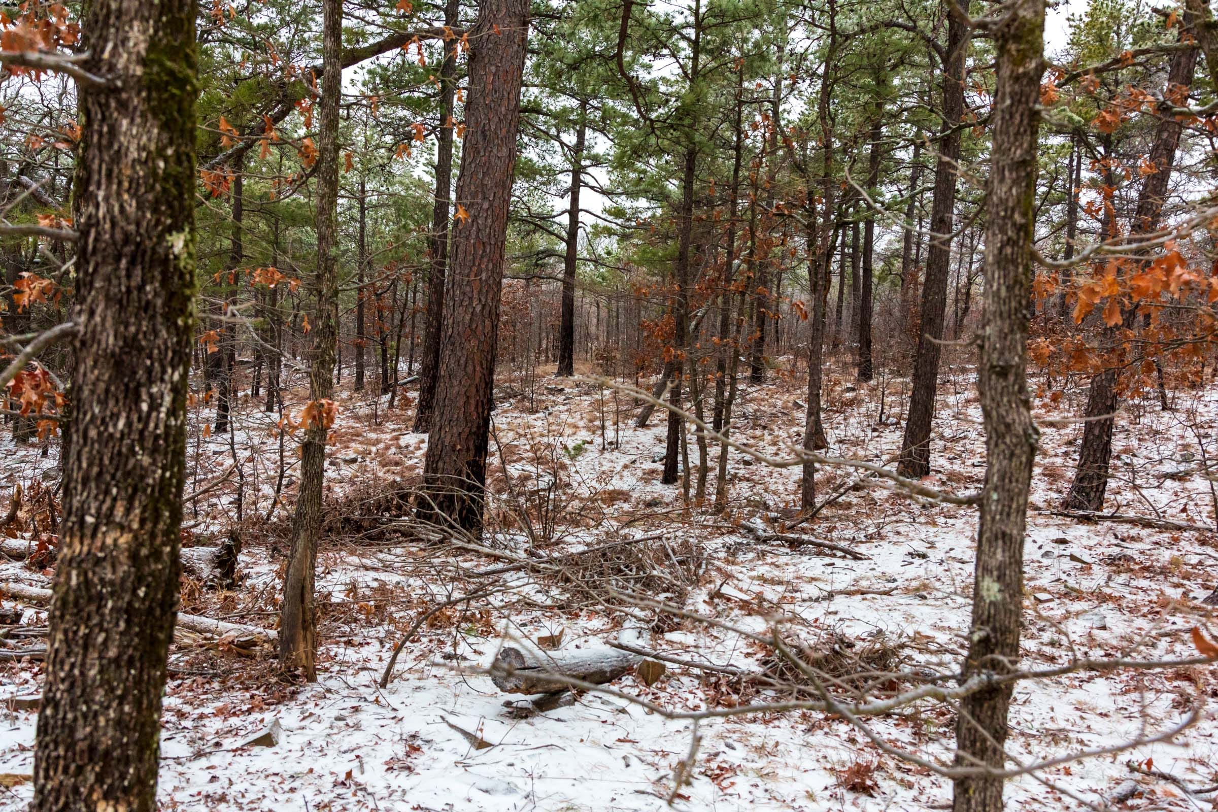 Stone Bridge Phase IV Tract 307 photo 17