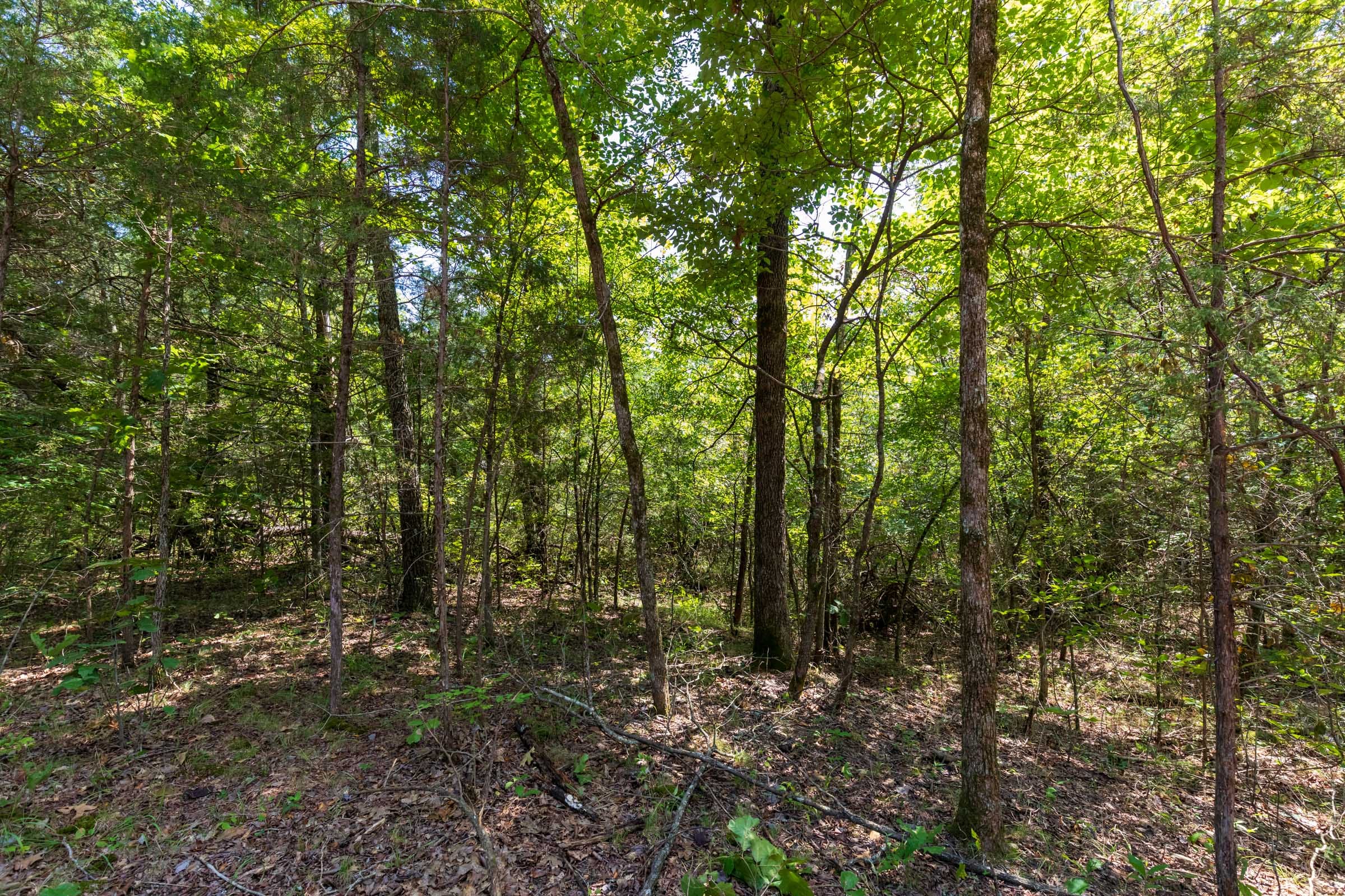 Heritage Bend Tract 40 photo 2