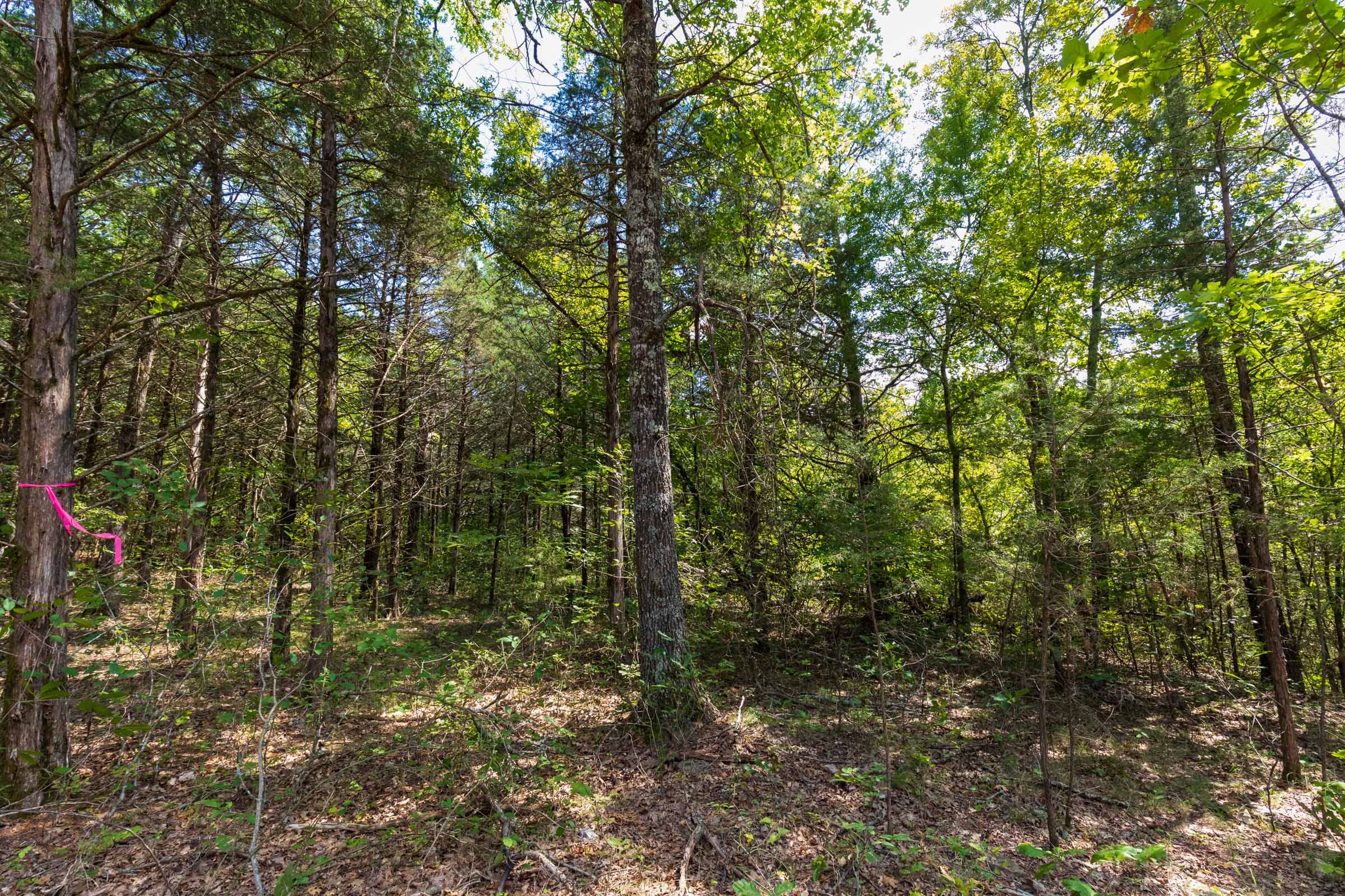 Heritage Bend Tract 40 photo 4
