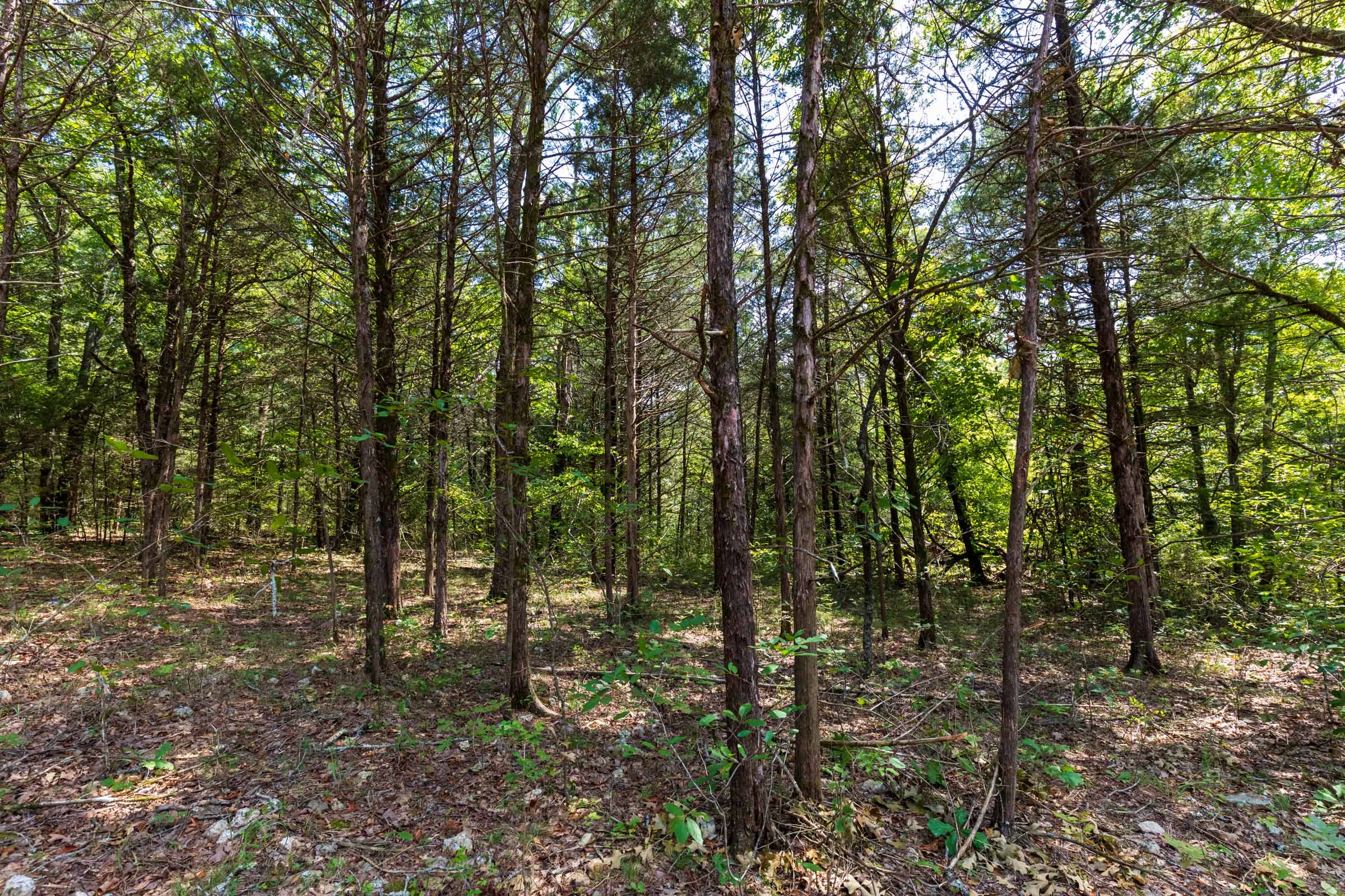 Heritage Bend Tract 40 photo 6
