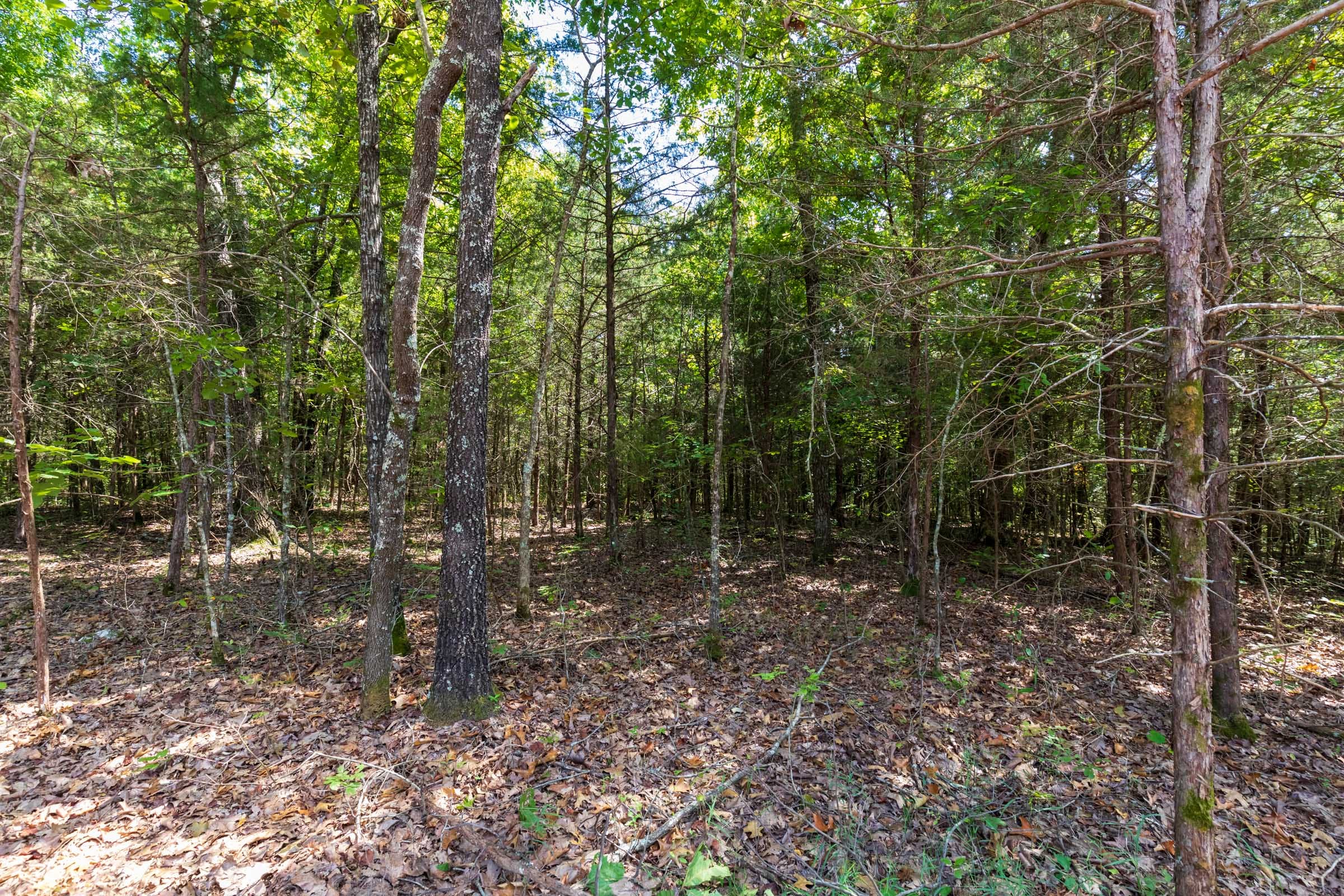 Heritage Bend Tract 40 photo 7
