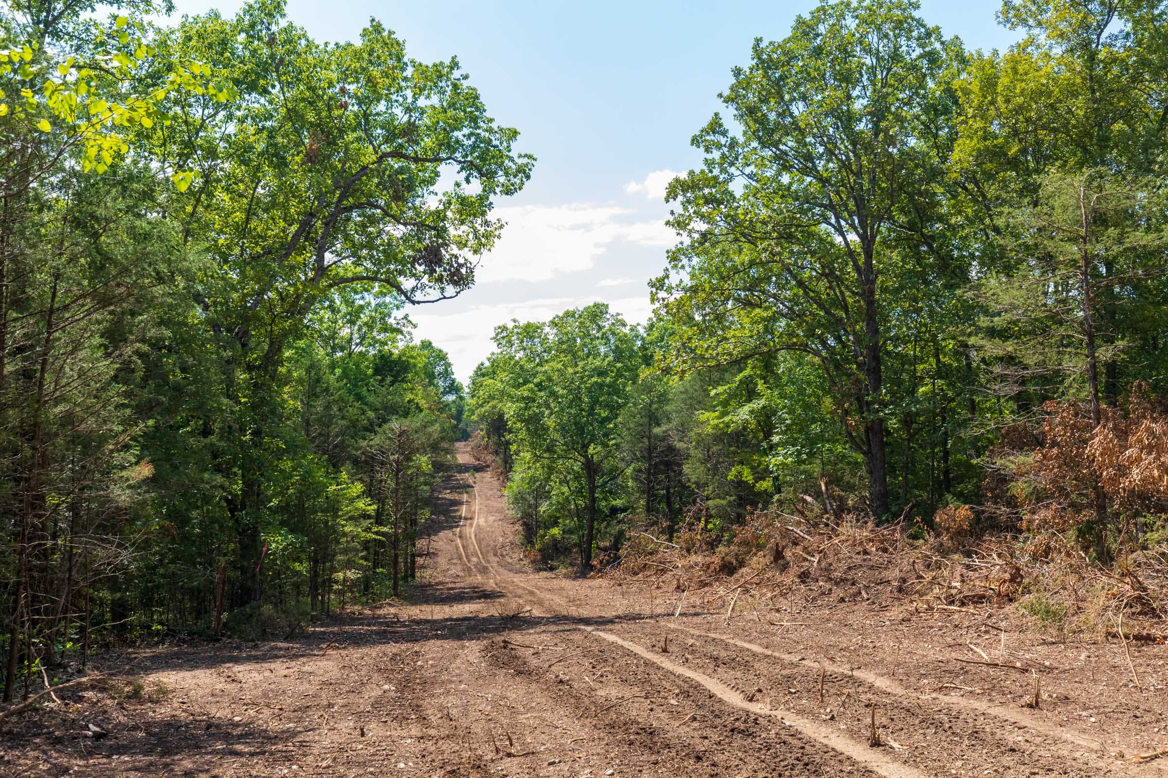 Heritage Bend Tract 40 photo 5