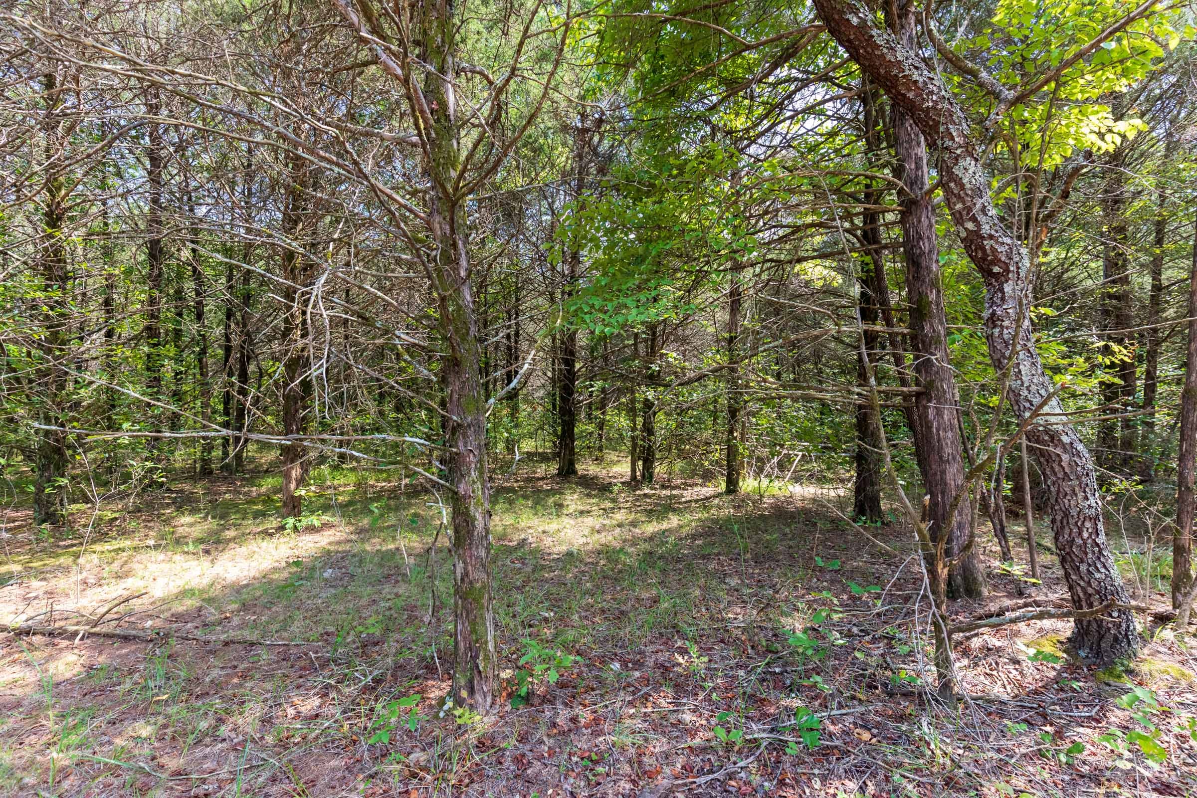 Heritage Bend Tract 40 photo 8
