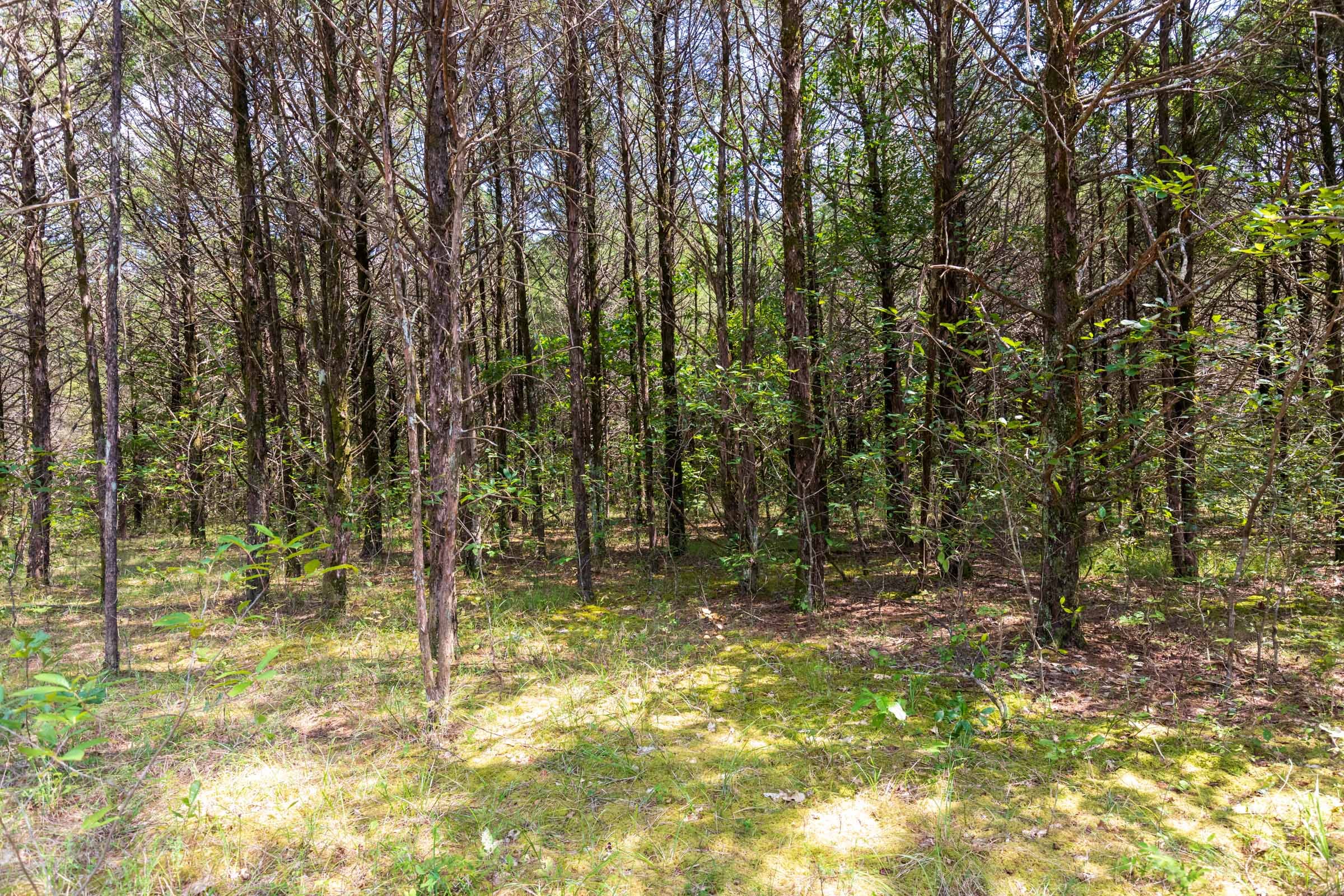 Heritage Bend Tract 40 photo 3