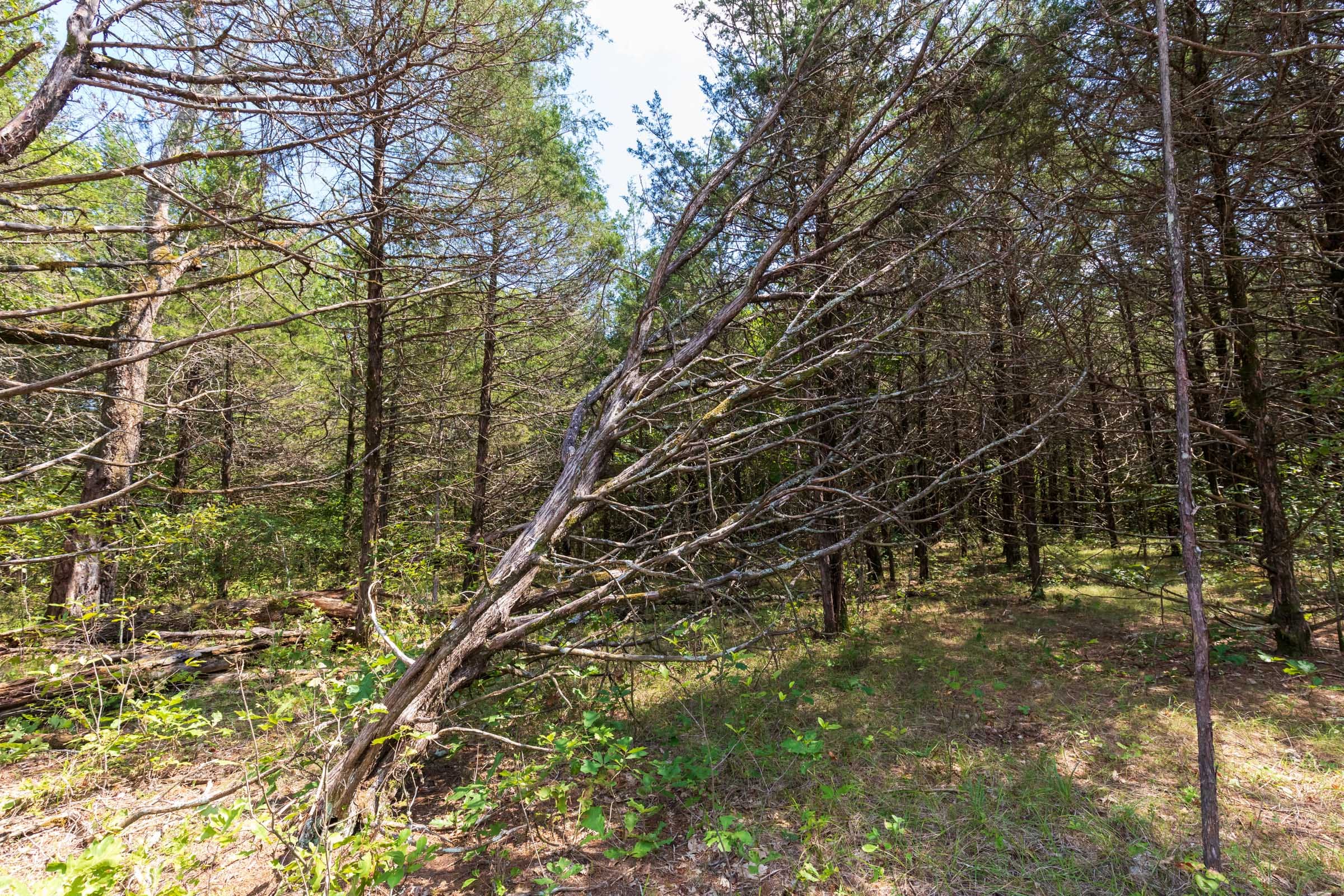 Heritage Bend Tract 40 photo 10