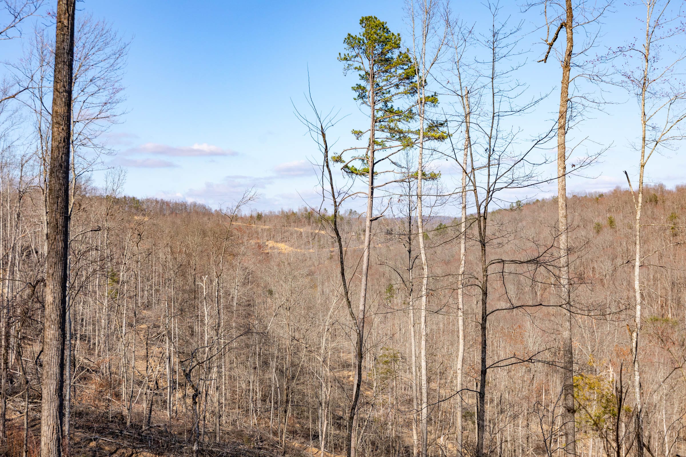 Creek Hollow Phase I Tract 16 photo 1