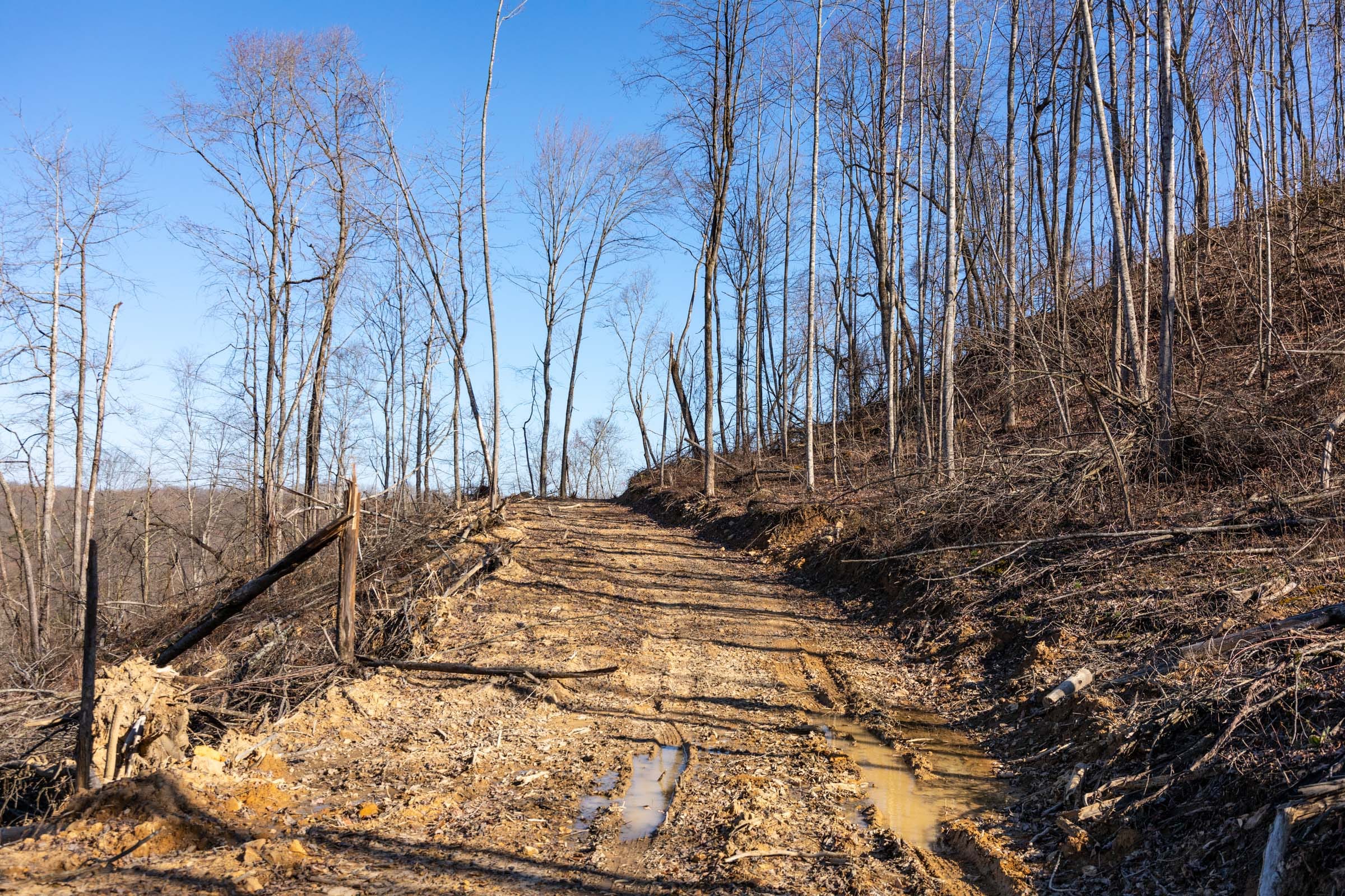 Creek Hollow Phase I Tract 16 photo 2