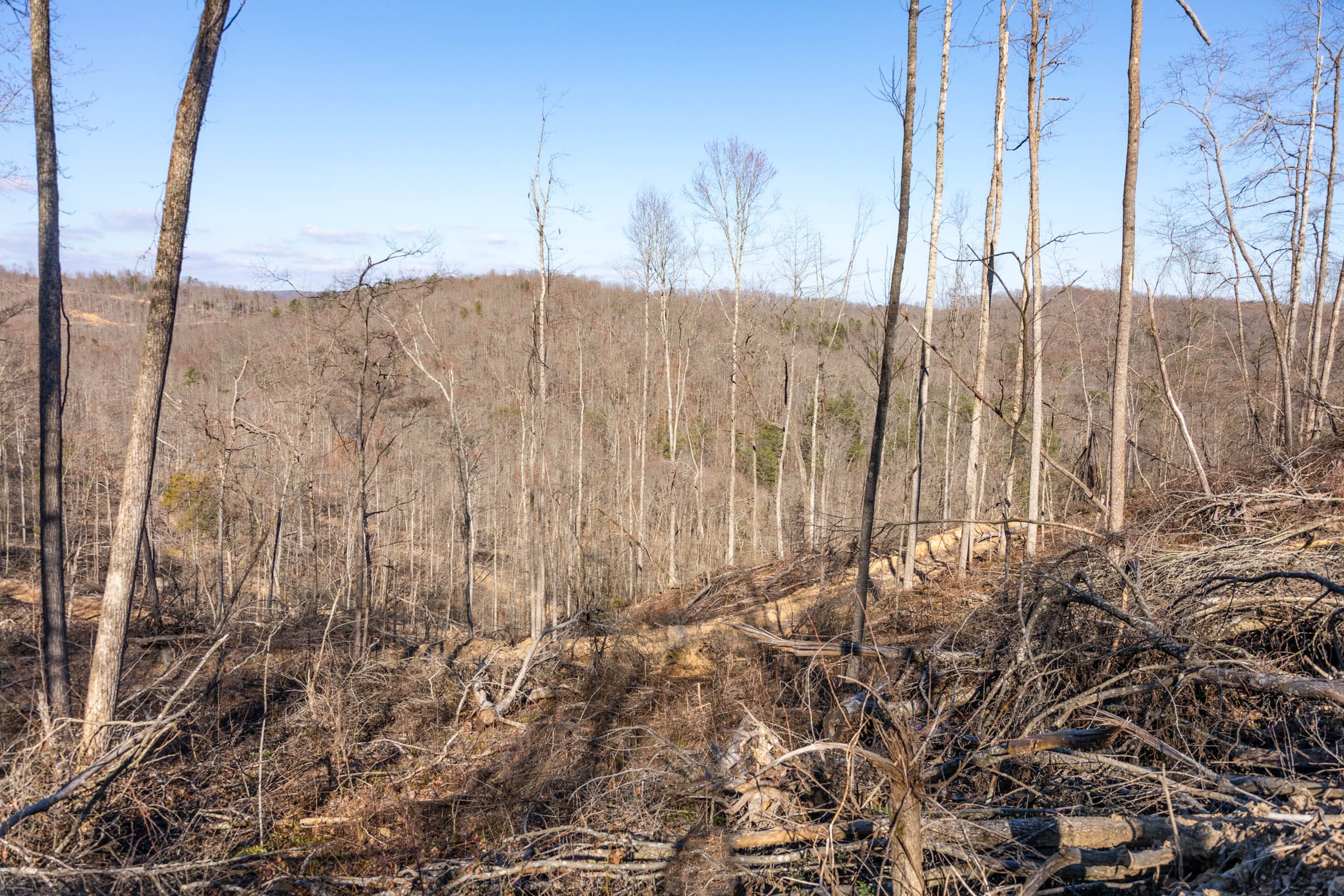 Creek Hollow Phase I Tract 16 photo 5