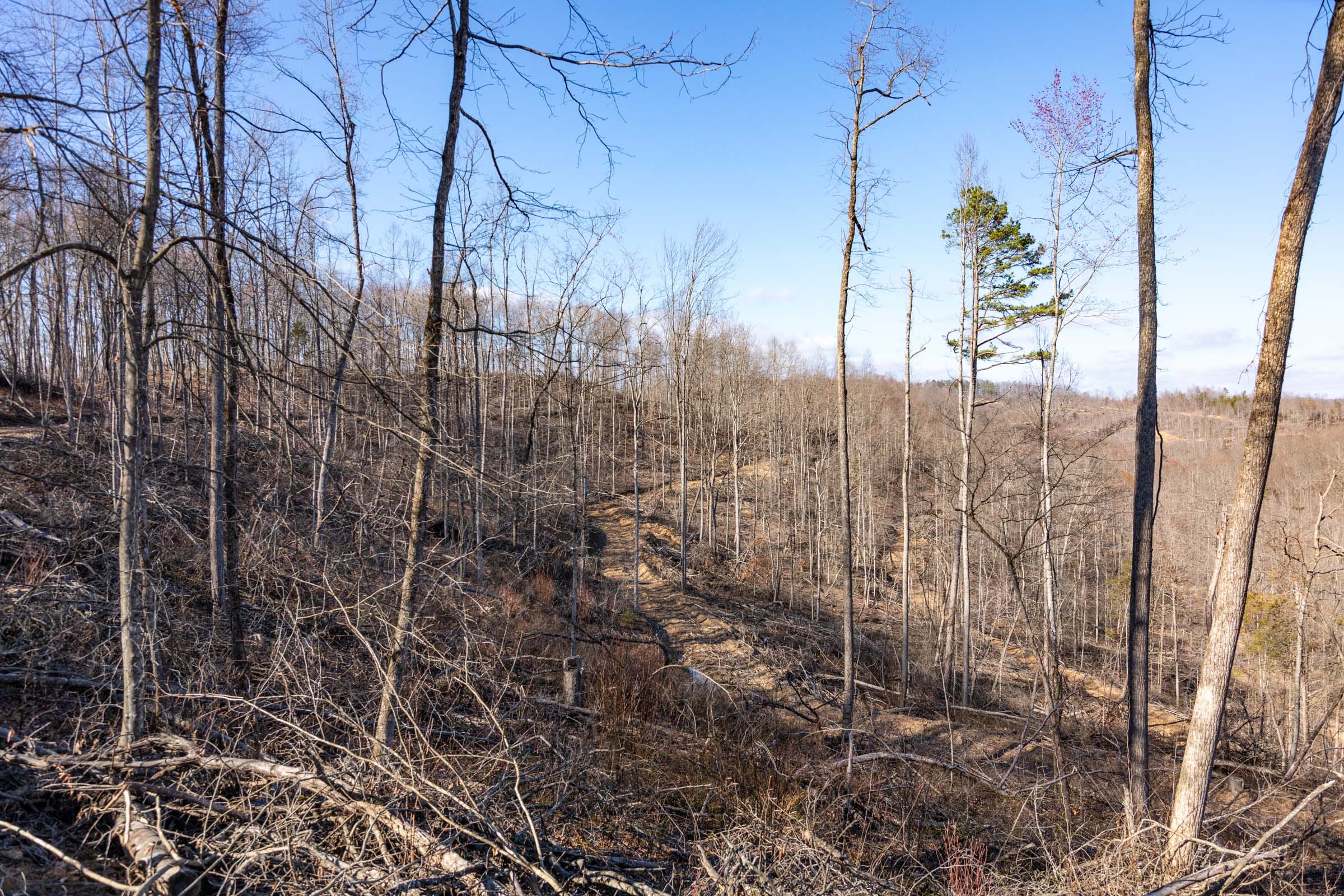 Creek Hollow Phase I Tract 16 photo 6