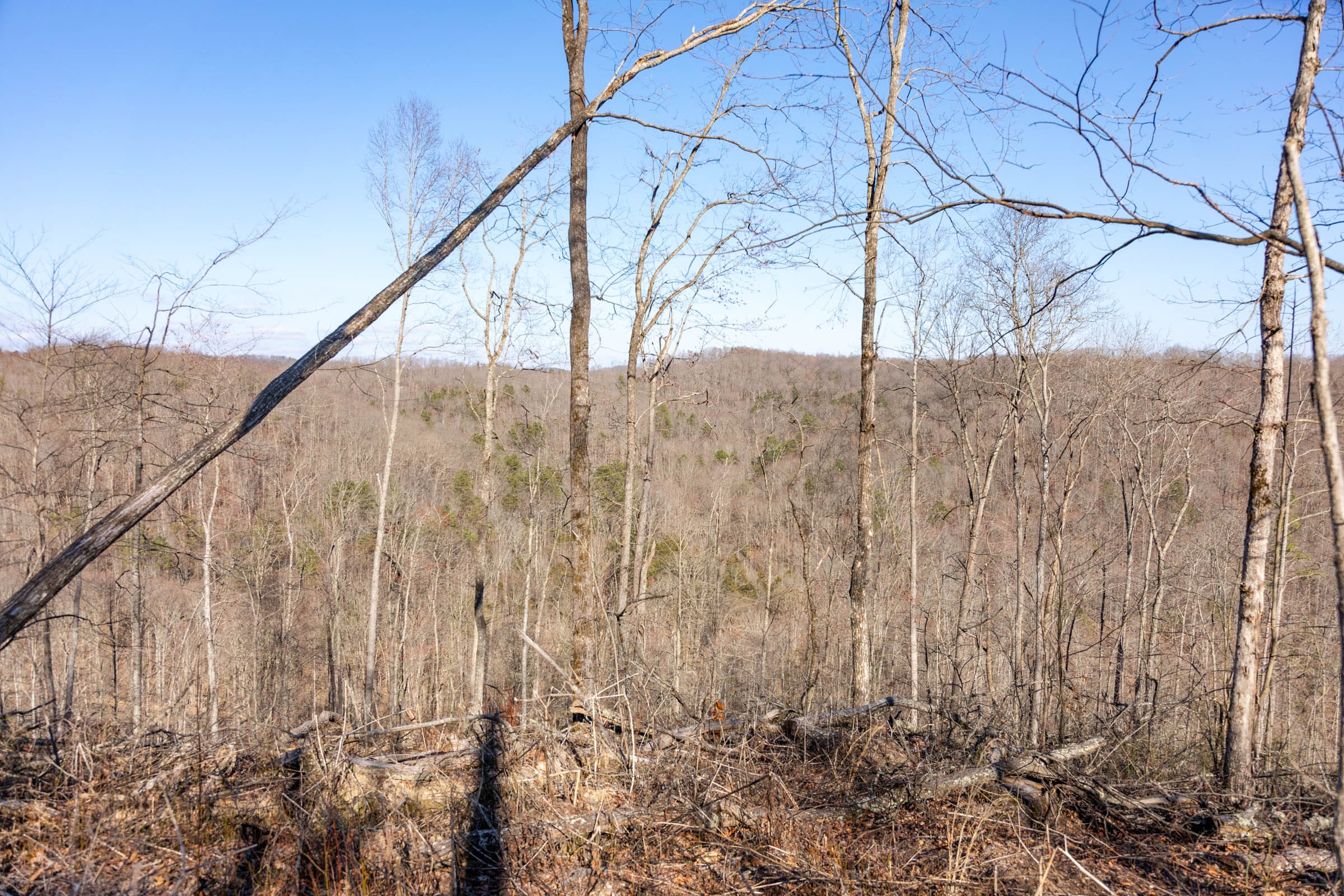 Creek Hollow Phase I Tract 16 photo 8