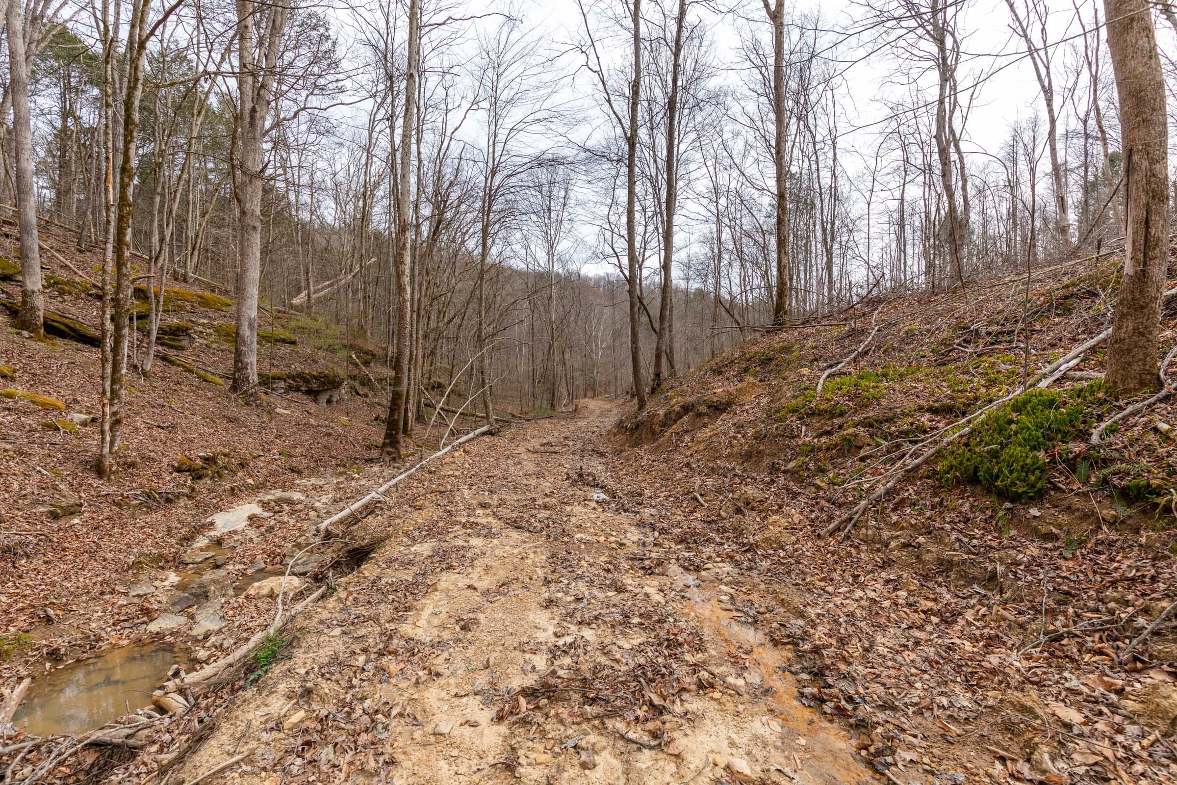 Creek Hollow Phase I Tract 16 photo 4