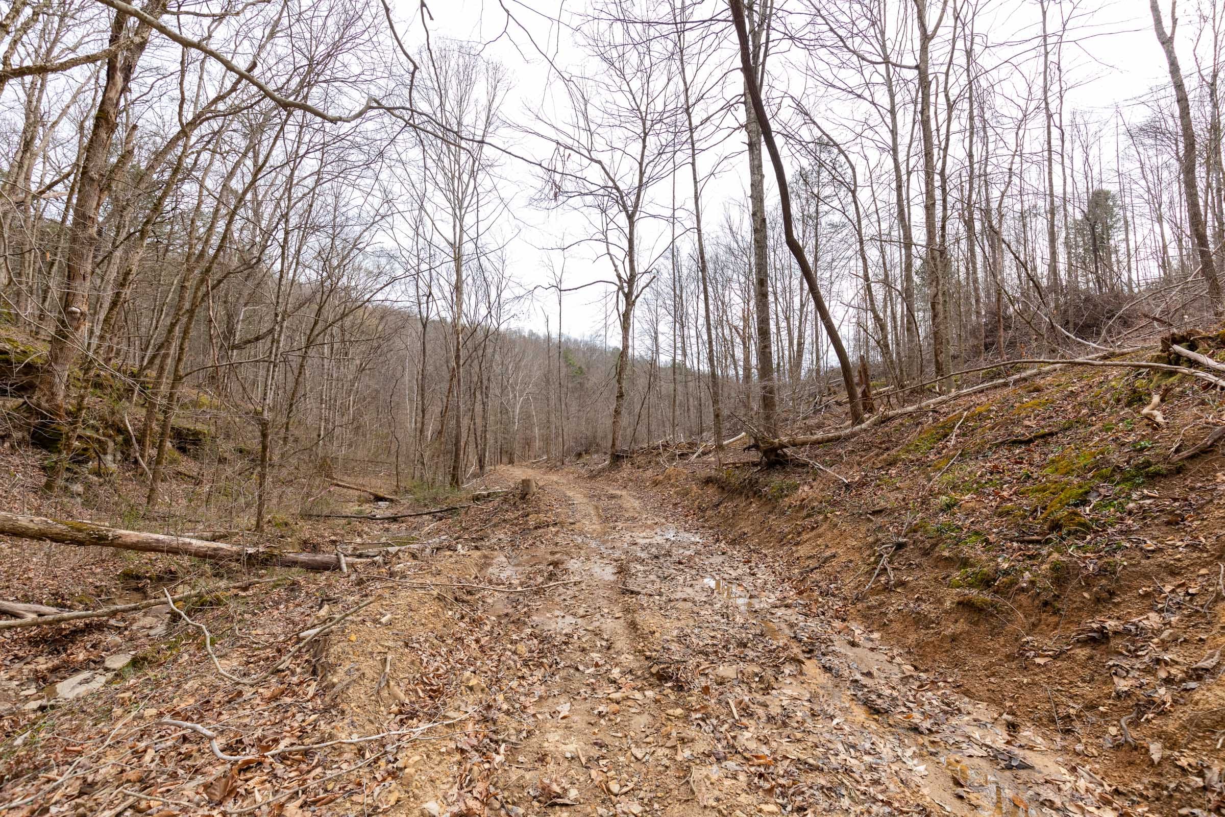 Creek Hollow Phase I Tract 16 photo 7