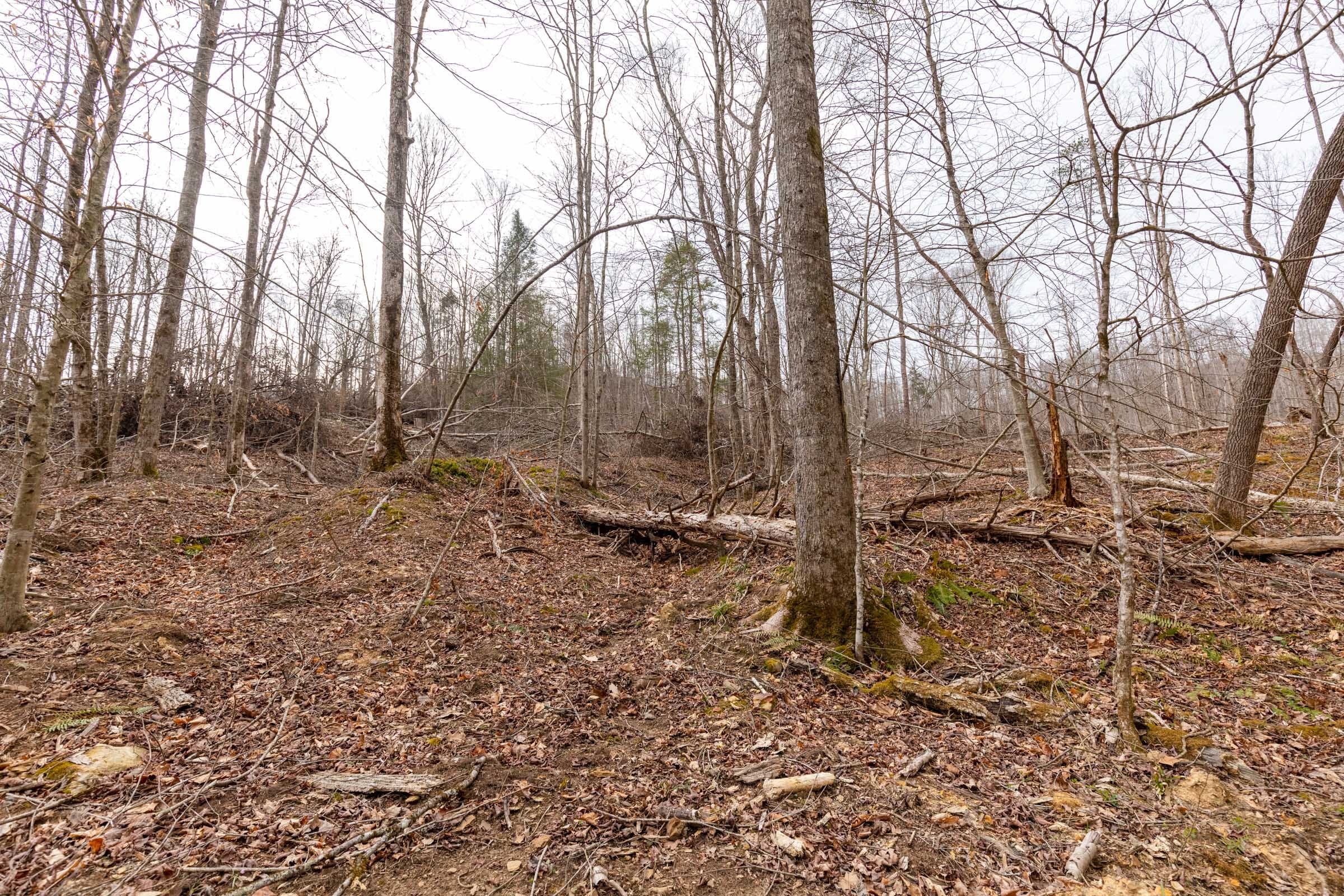 Creek Hollow Phase I Tract 16 photo 9