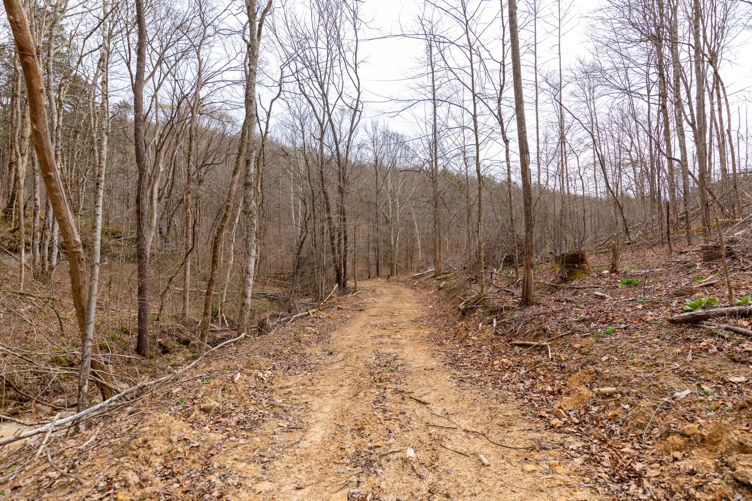 Creek Hollow Phase I Tract 16 photo 10