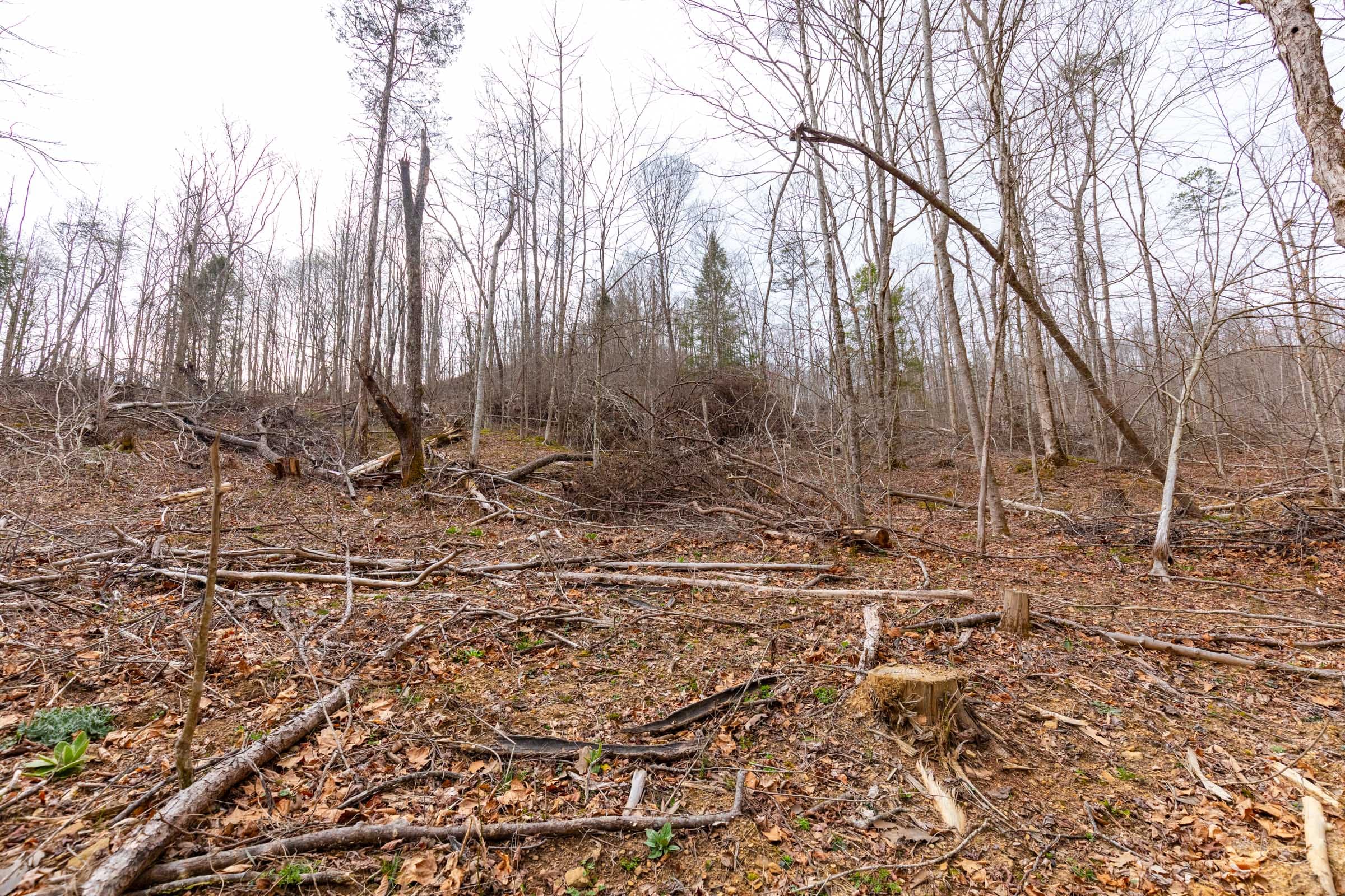 Creek Hollow Phase I Tract 16 photo 11