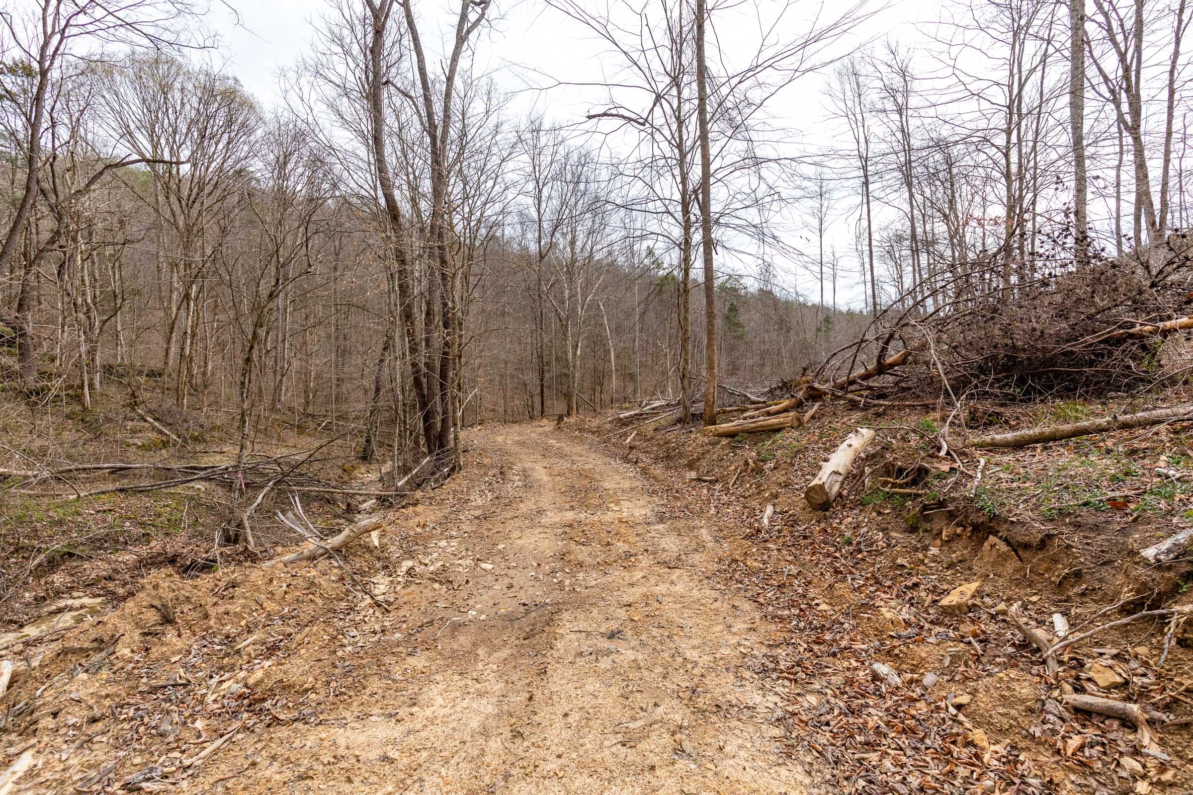 Creek Hollow Phase I Tract 16 photo 13