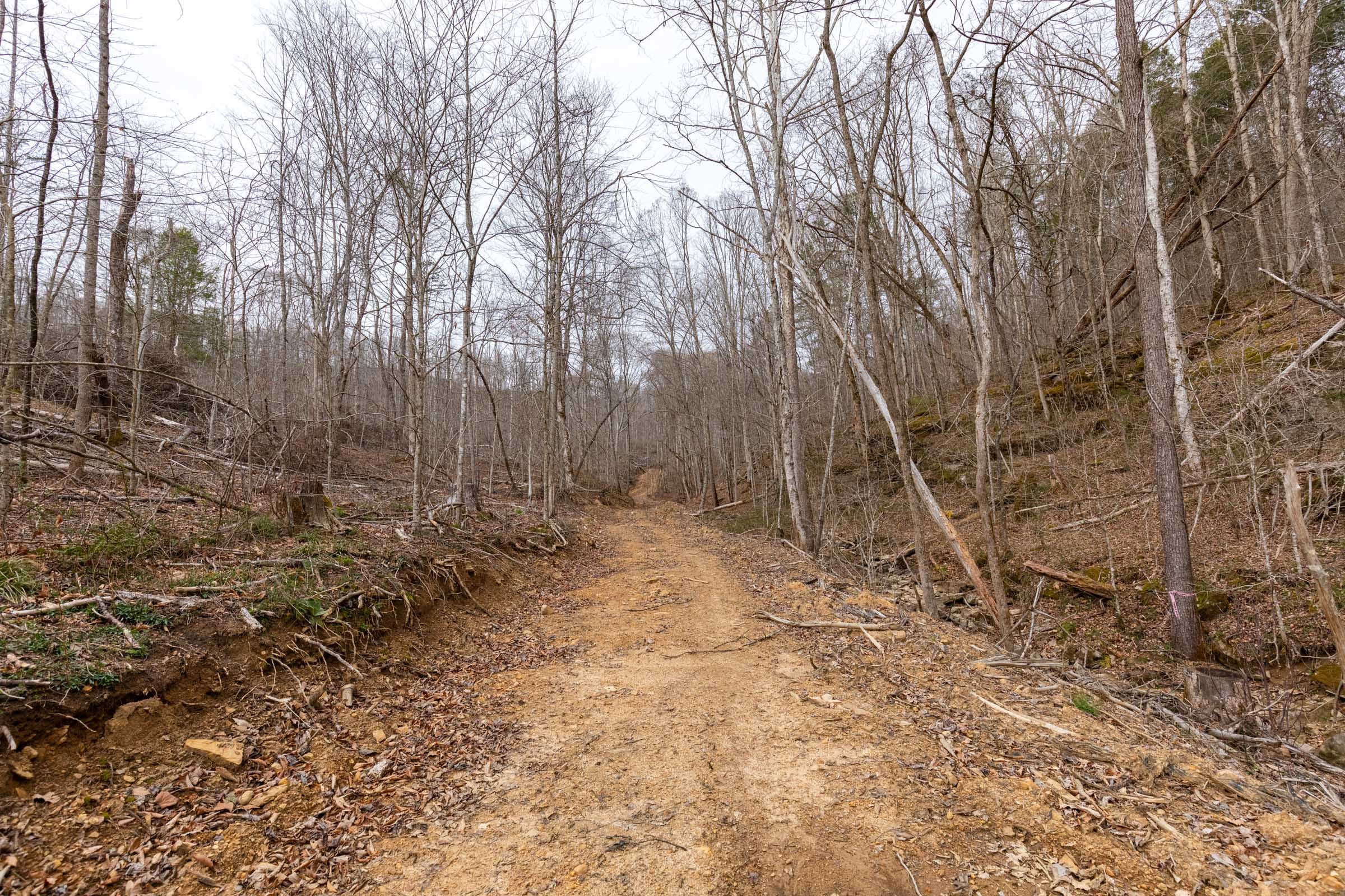 Creek Hollow Phase I Tract 16 photo 16