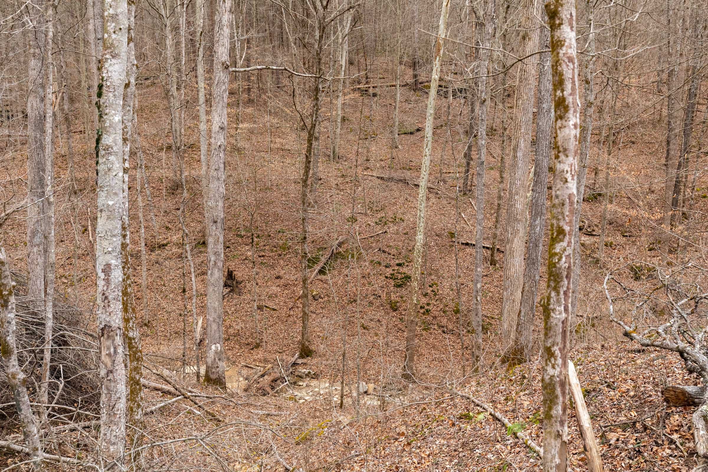 Creek Hollow Phase I Tract 16 photo 12
