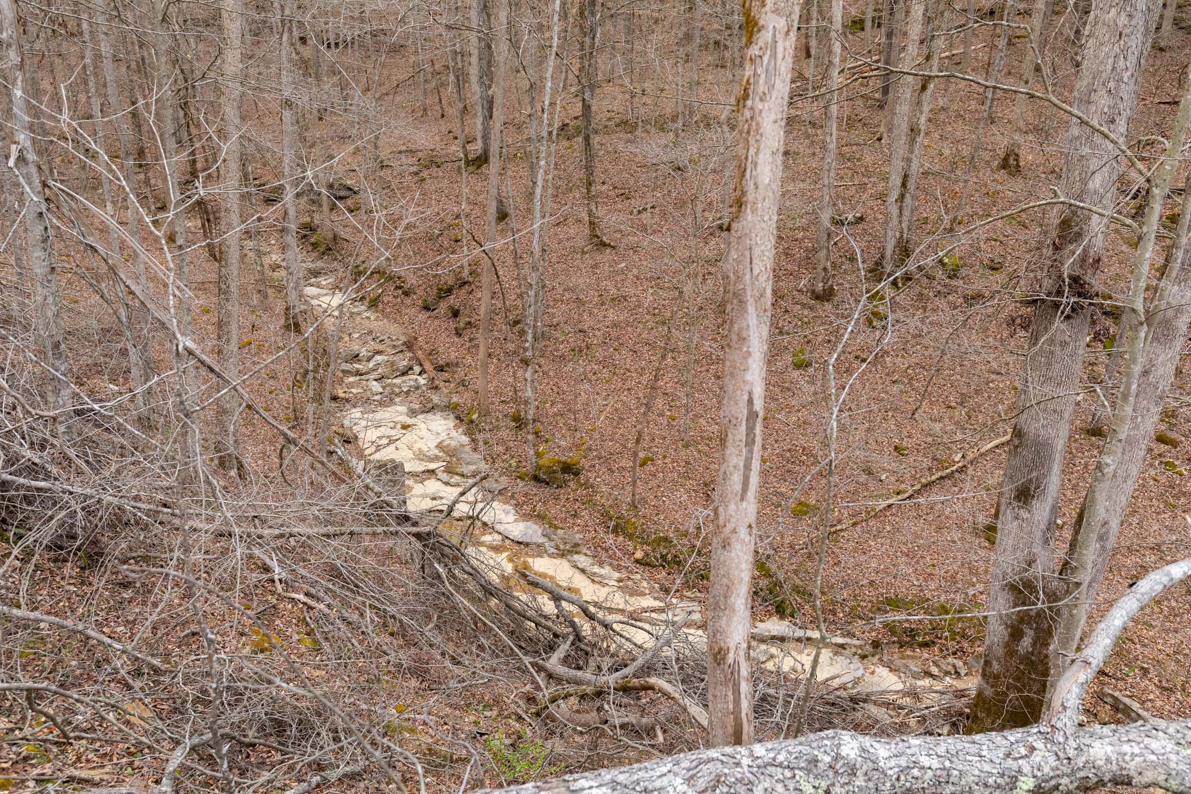 Creek Hollow Phase I Tract 16 photo 15
