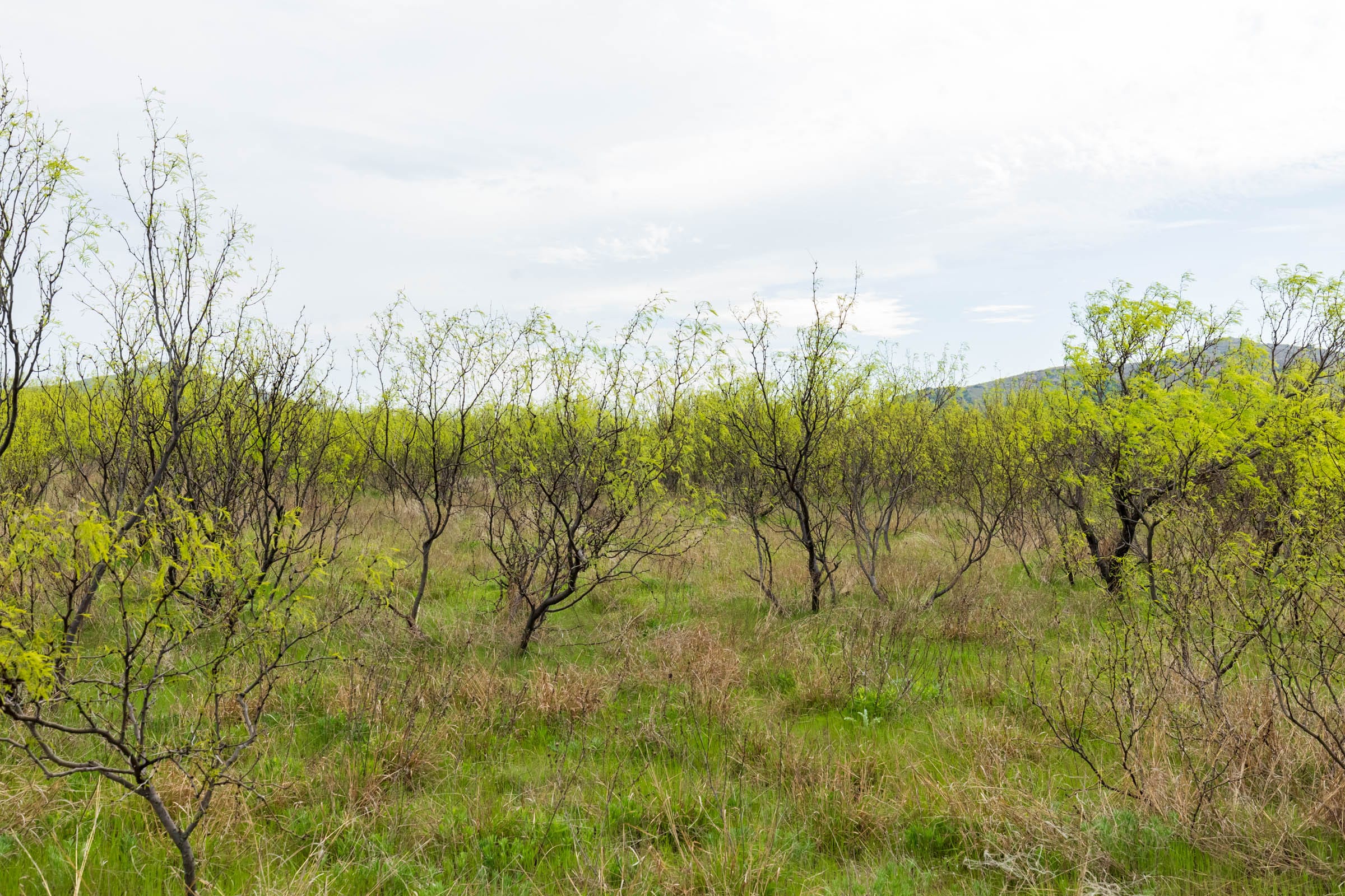 Granite Valley Tract 7 photo 7