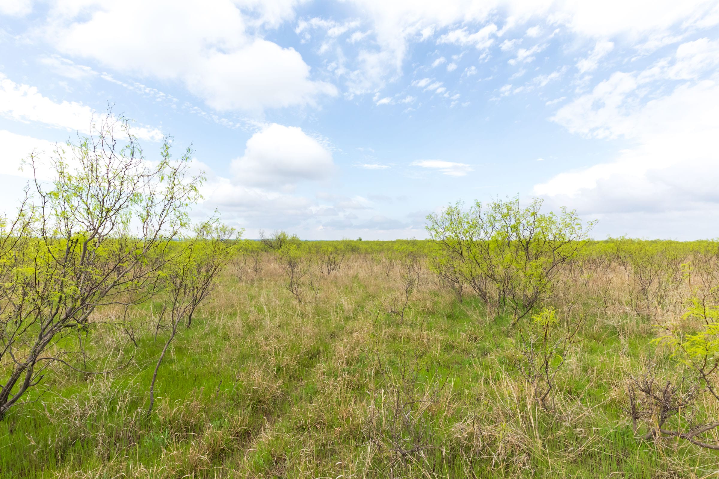 Granite Valley Tract 7 photo 8