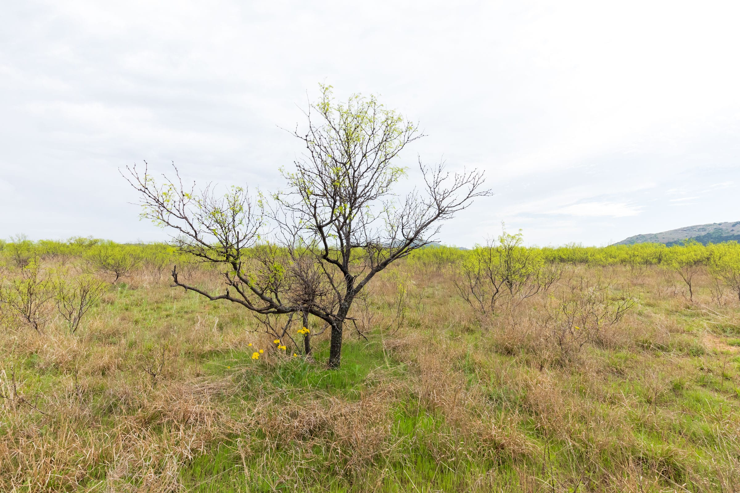 Granite Valley Tract 7 photo 11