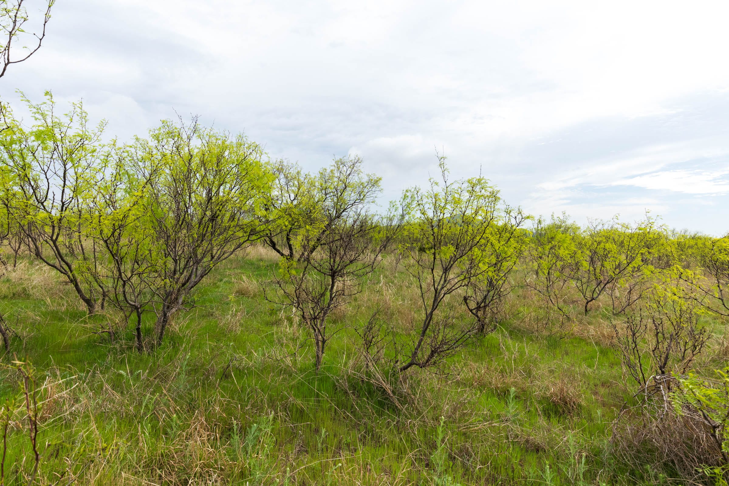 Granite Valley Tract 7 photo 12
