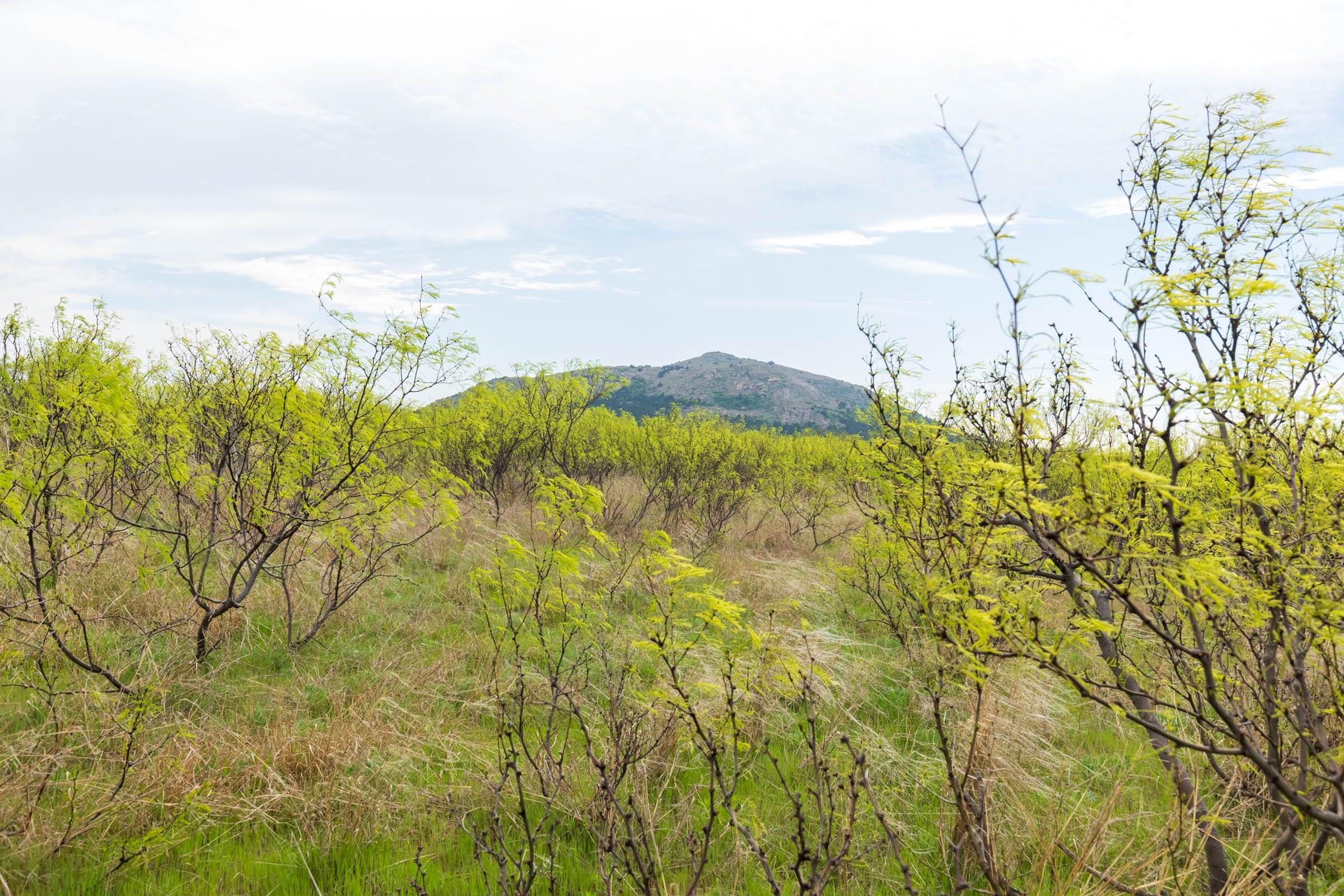 Granite Valley Tract 7 photo 13