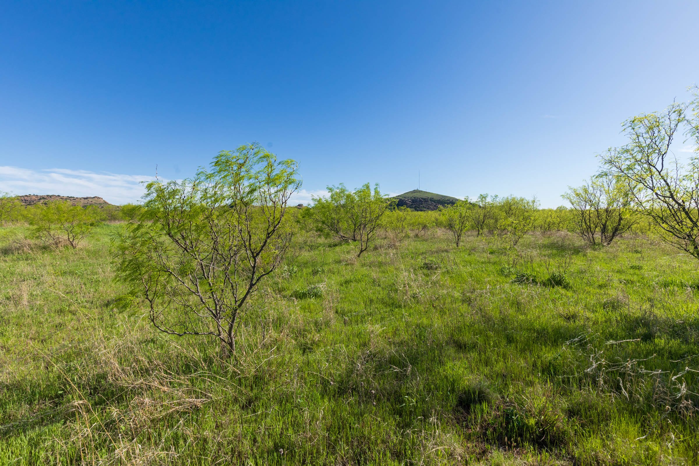 Hackberry Fields Tract 11 photo 7