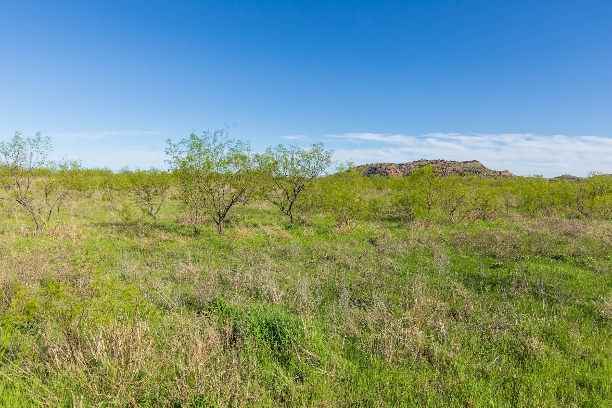 Hackberry Fields Tract 11 photo 5