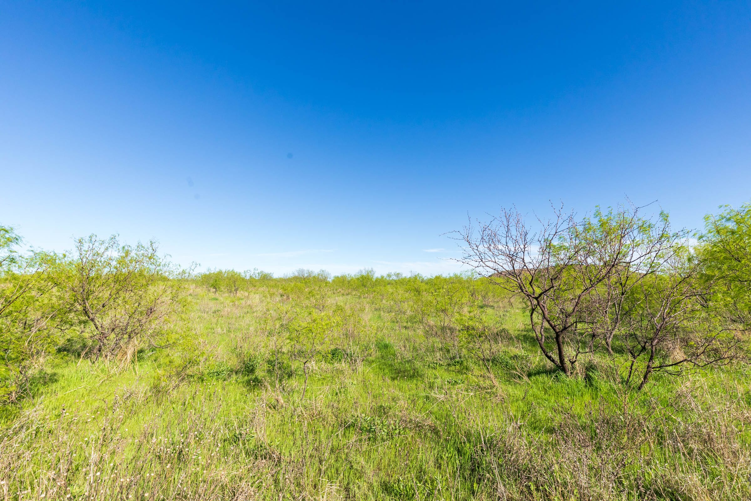 Hackberry Fields Tract 11 photo 9