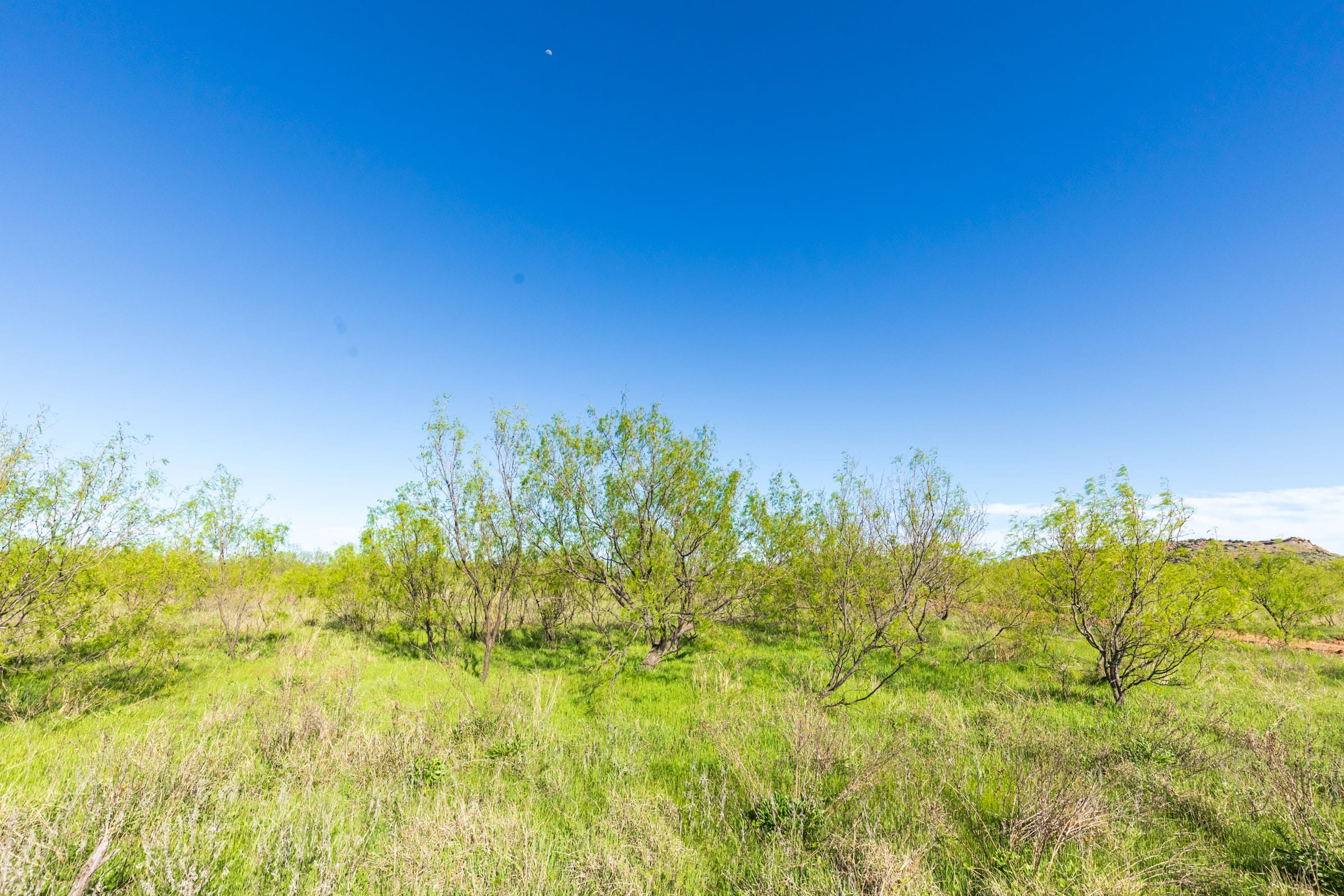Hackberry Fields Tract 11 photo 13