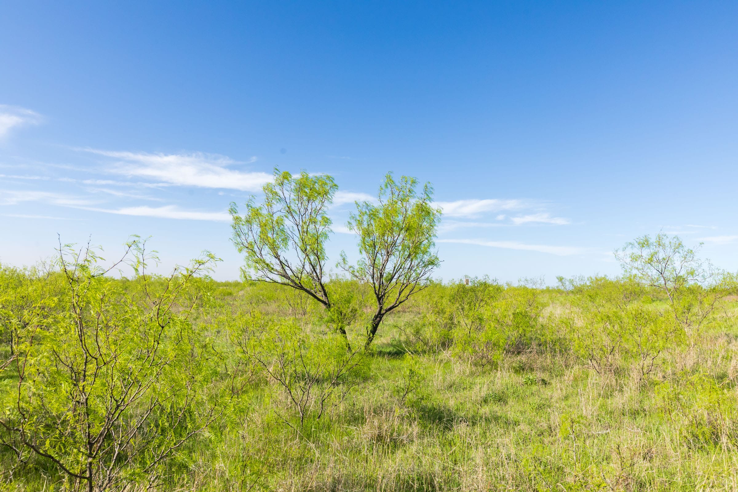 Hackberry Fields Tract 11 photo 12