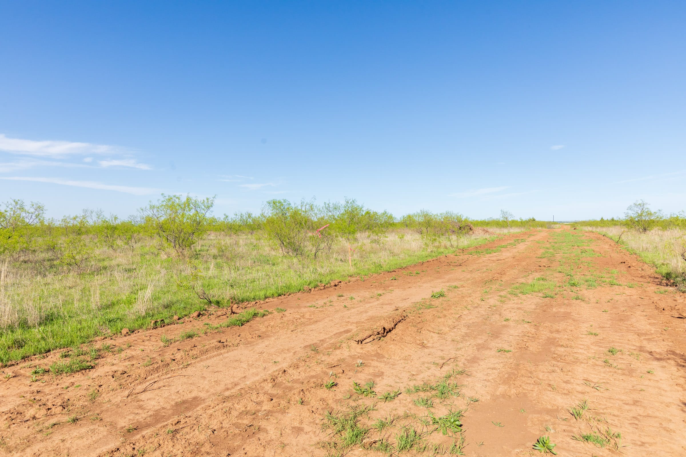 Hackberry Fields Tract 11 photo 10