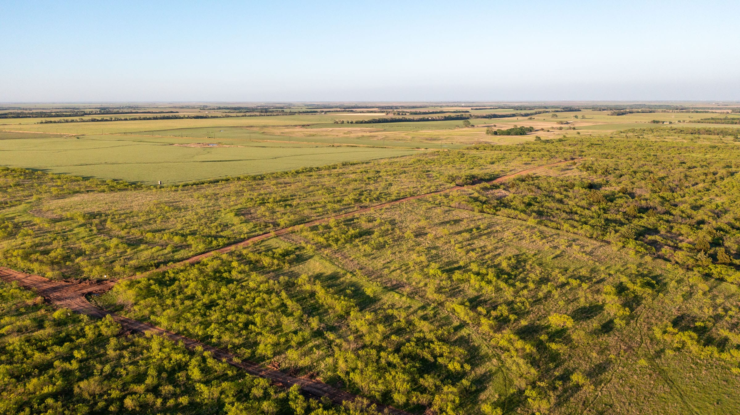 Hackberry Fields Tract 16 photo 13