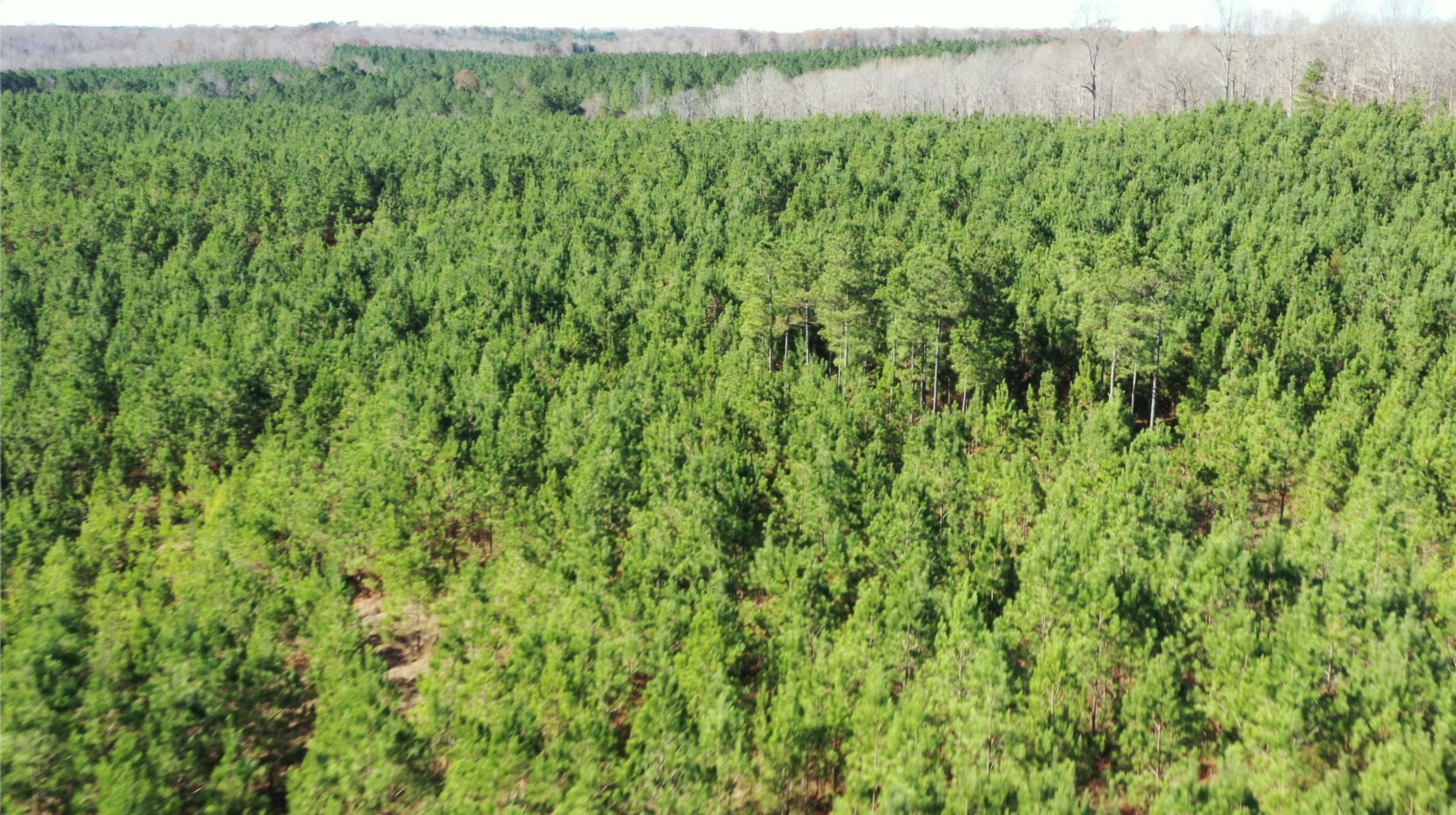 Pine Ridge Tract 1 photo 2