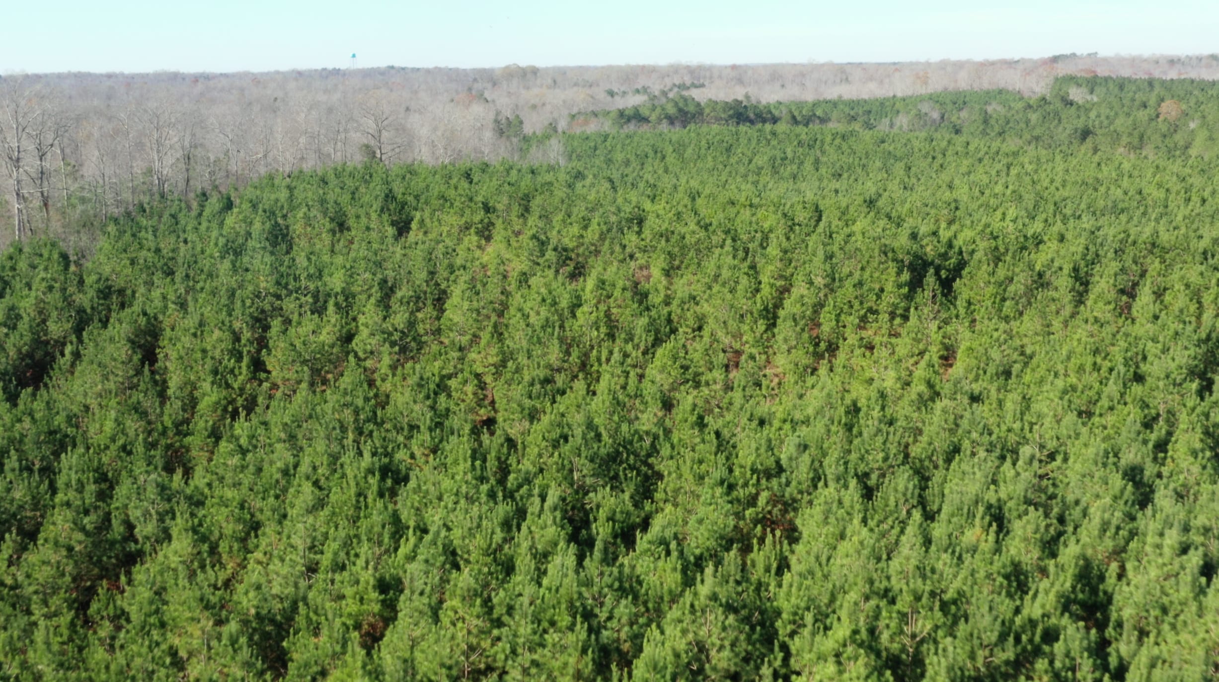 Pine Ridge Tract 1 photo 12