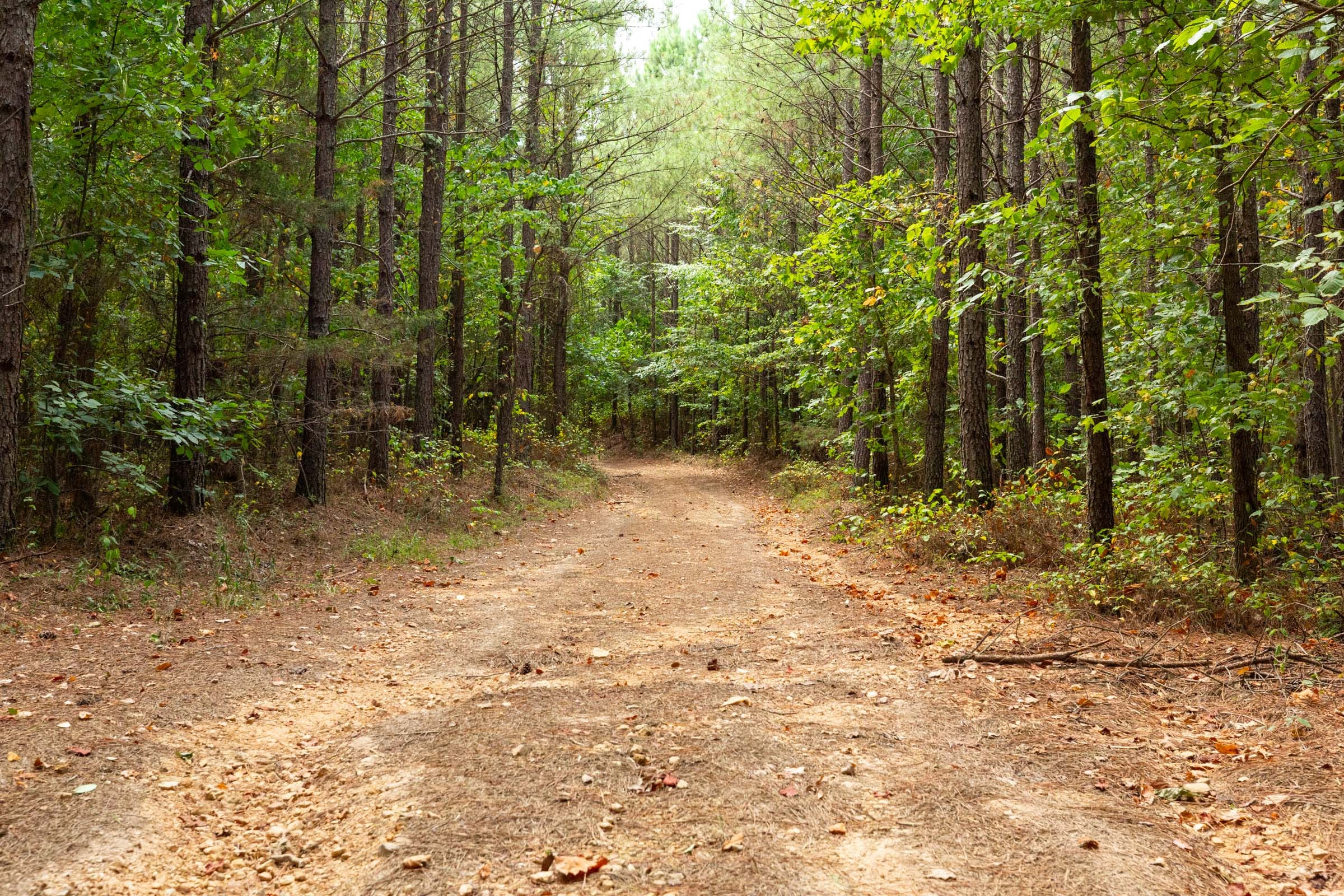 Harvest Ridge Tract 2 photo 1